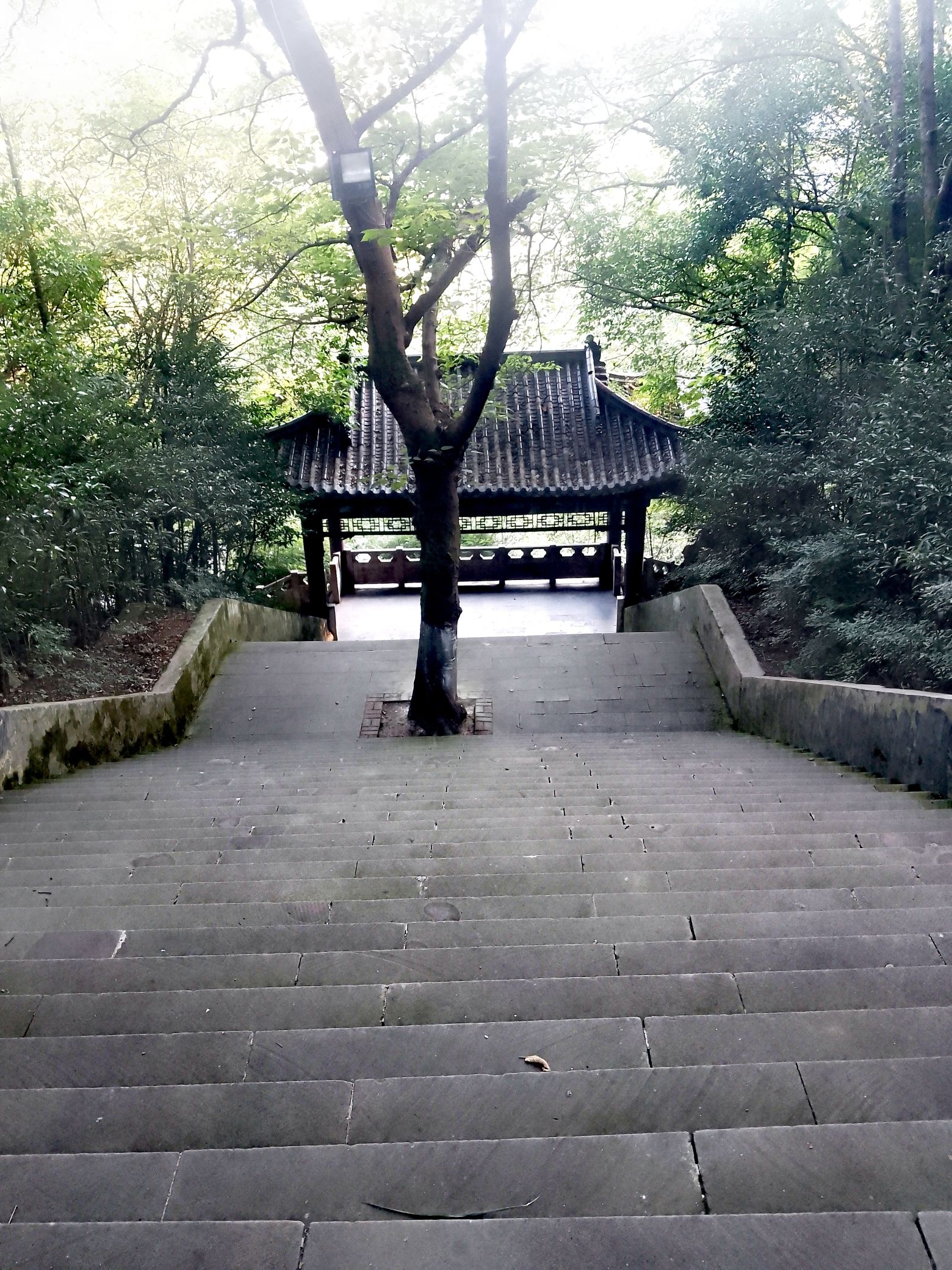 麒麟公园旅行图片 1