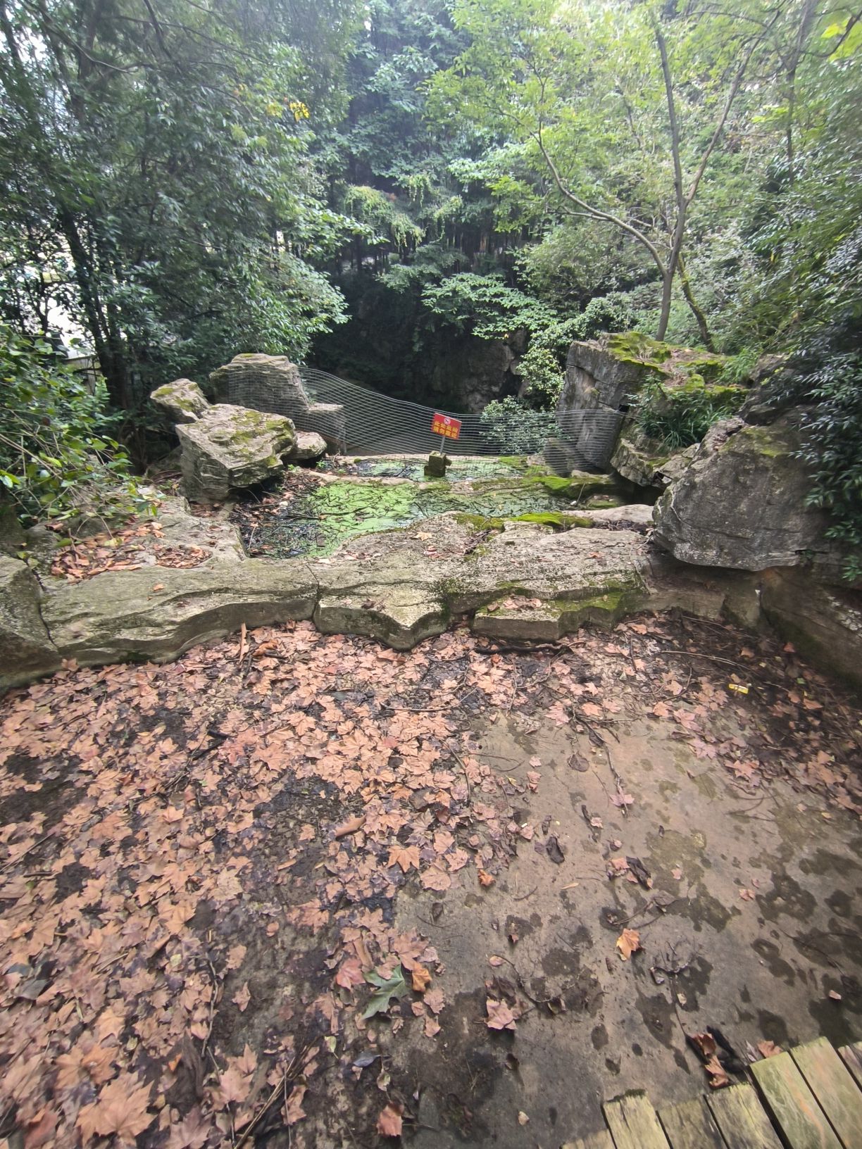 麒麟公园旅行图片 2