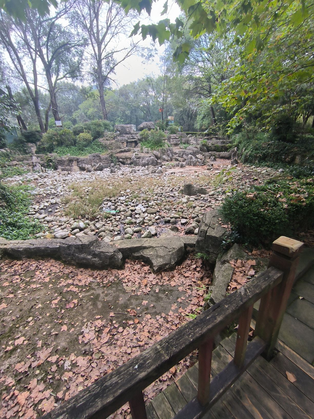 麒麟公园旅行图片 3