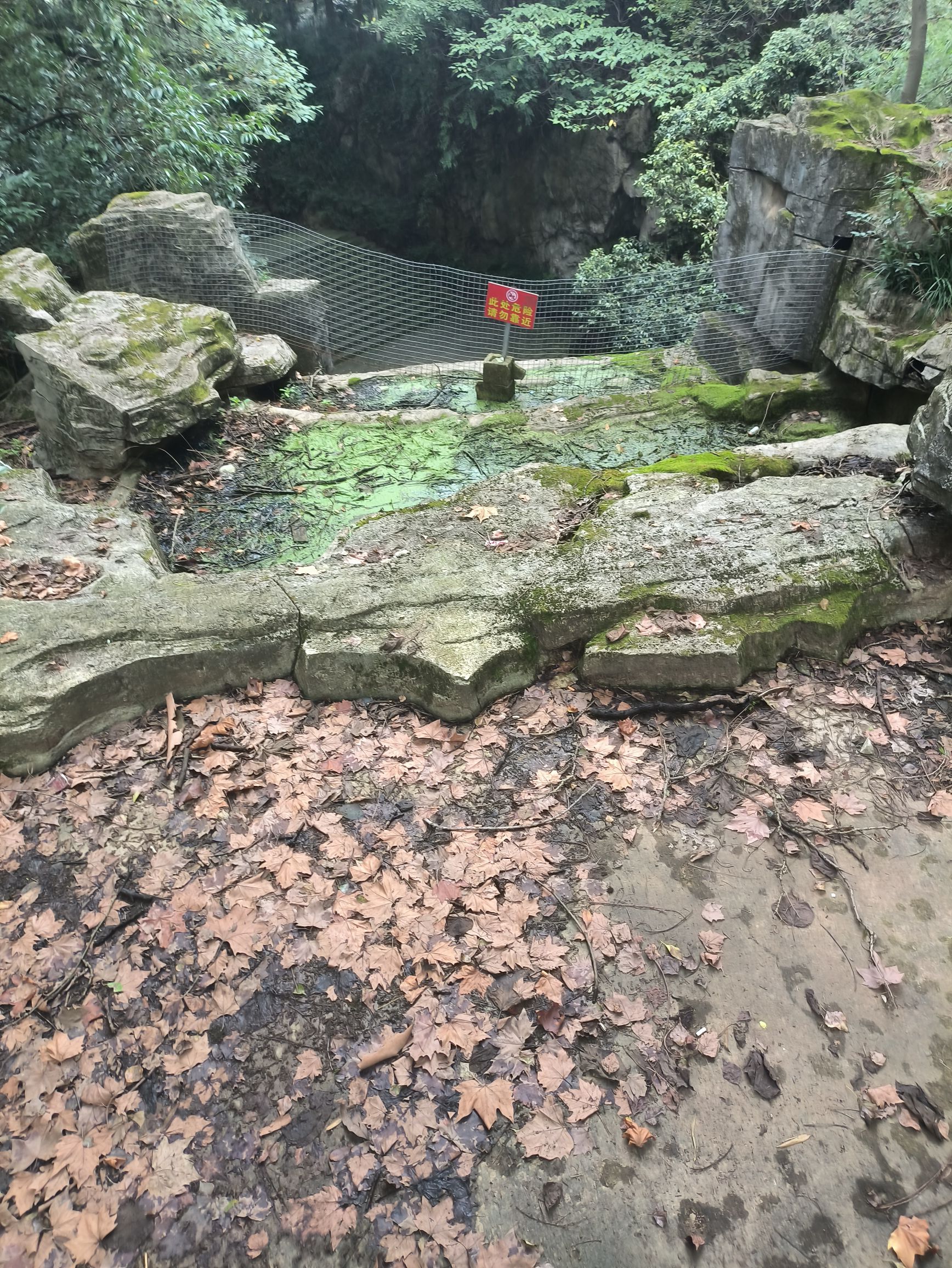 麒麟公园旅行图片 1