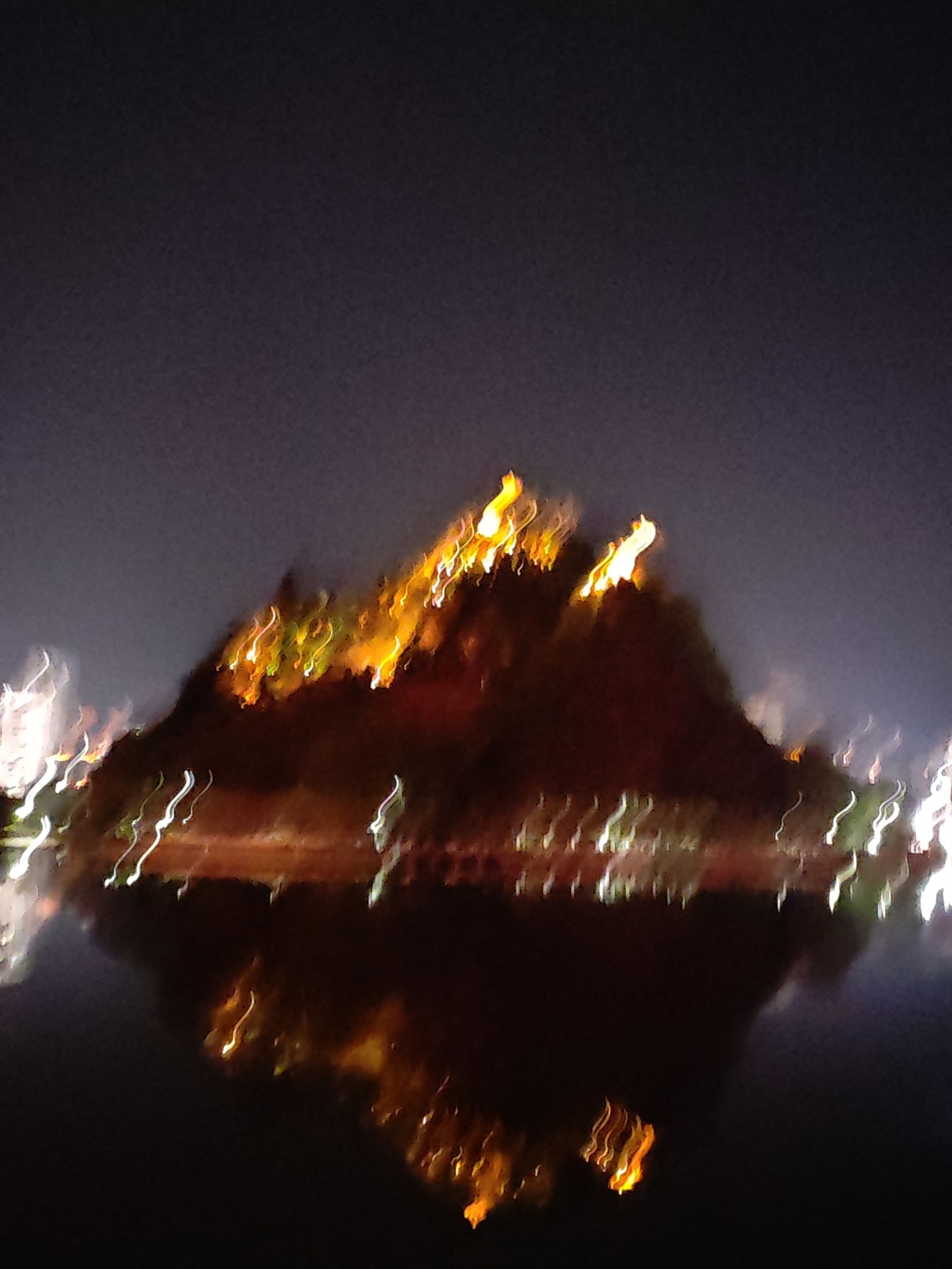桃花公园旅行图片 1