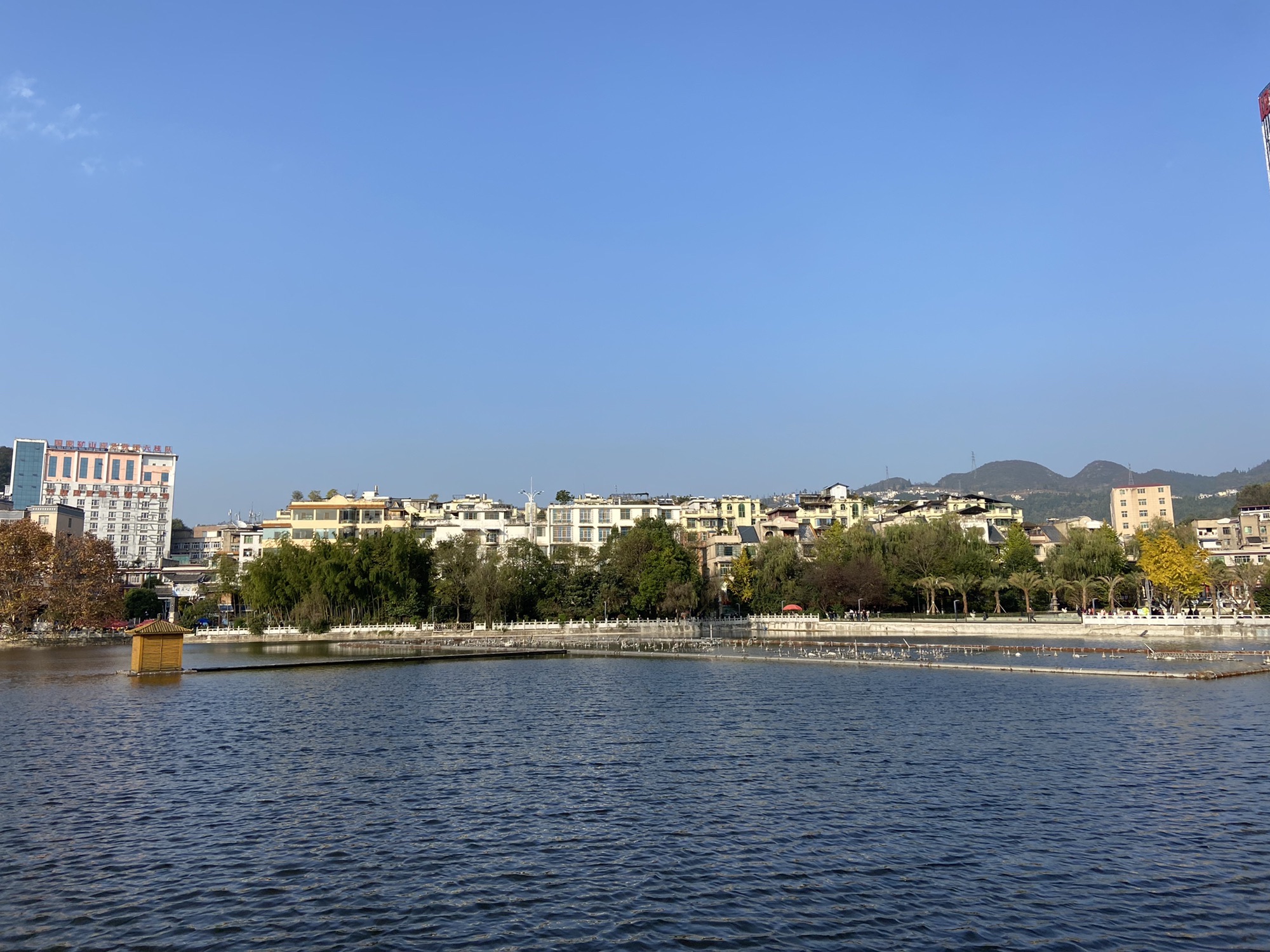 桃花公园旅行图片 3