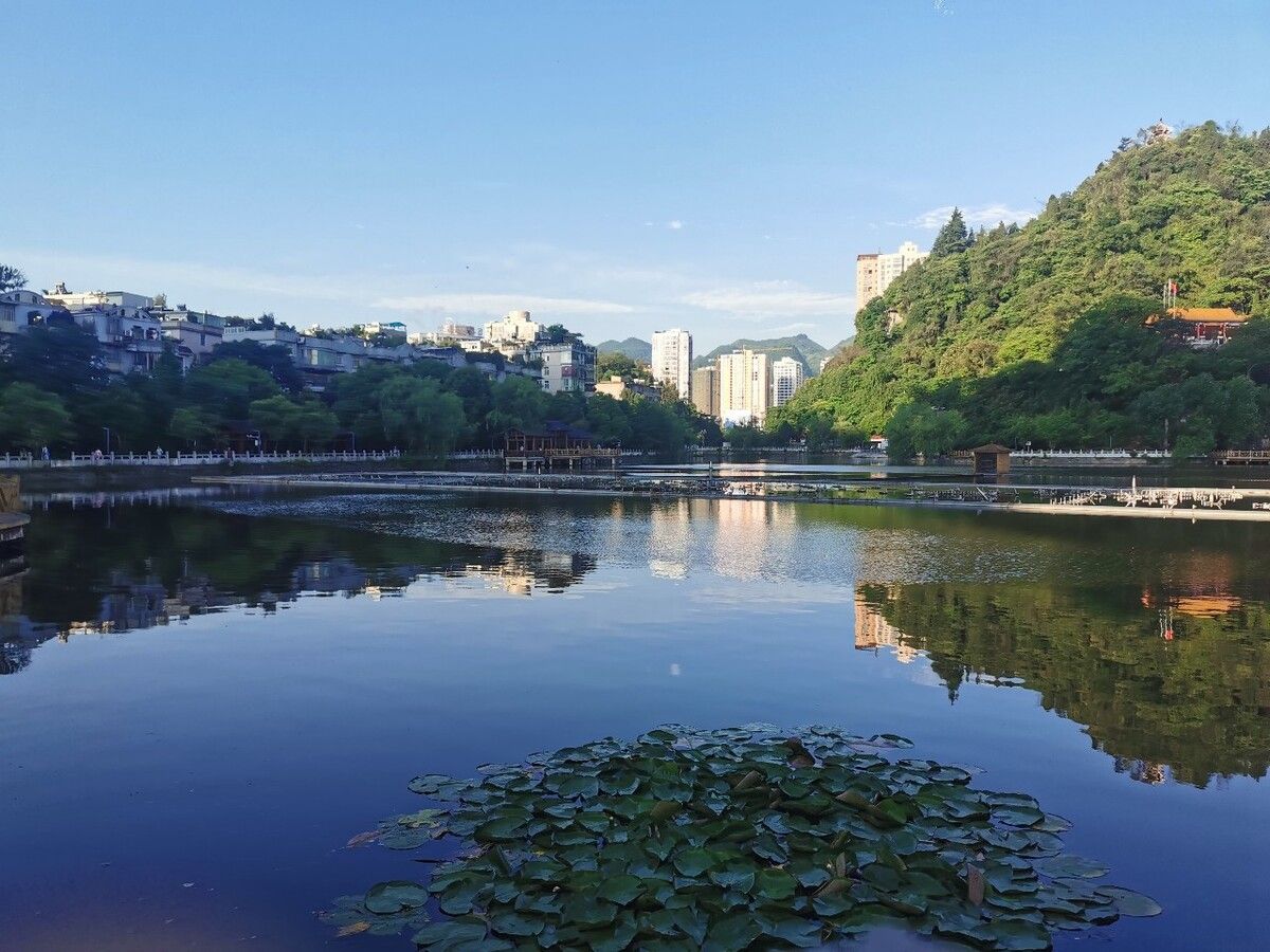 桃花公园旅行图片 1