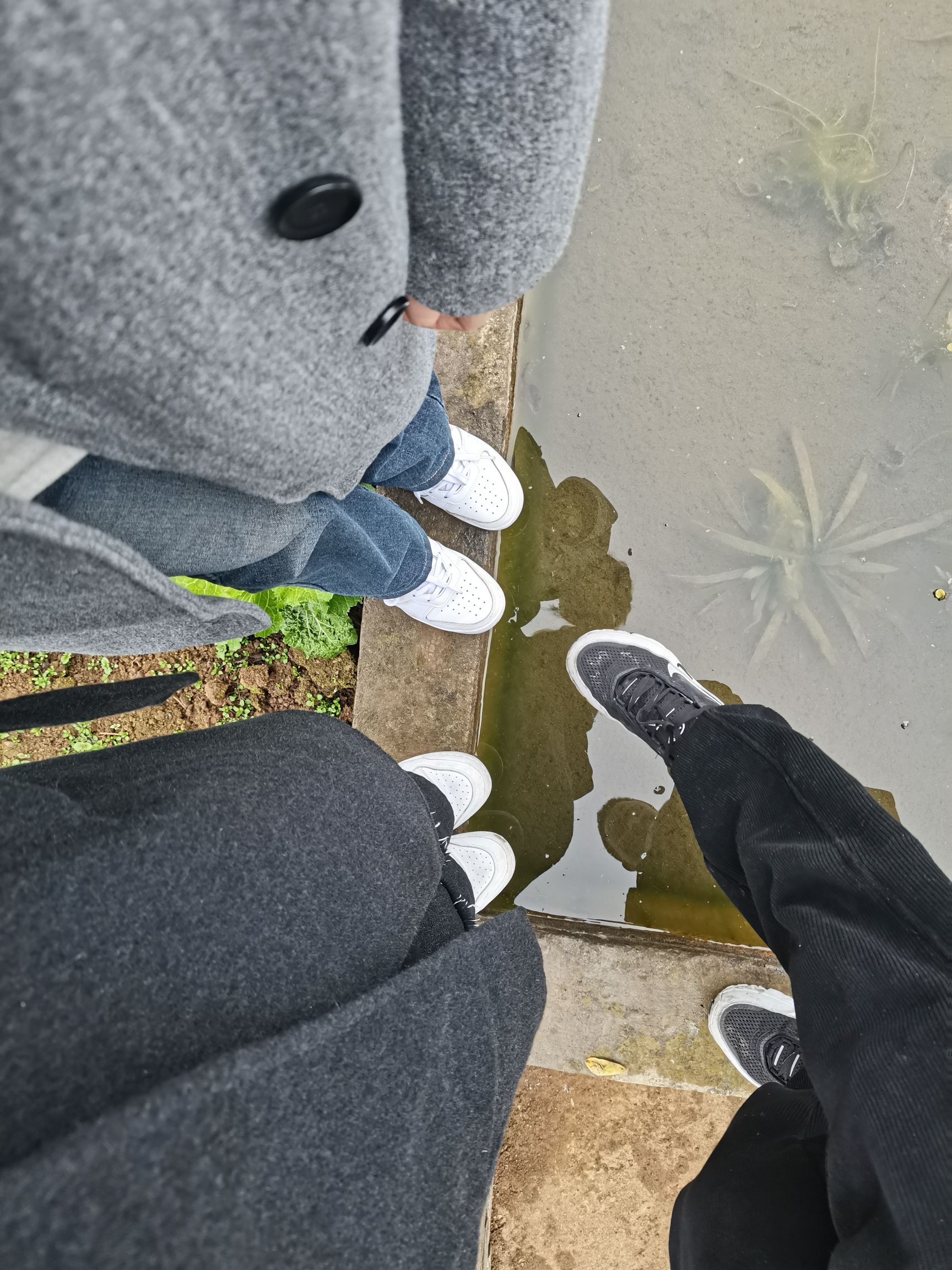 桃花公园旅行图片 1