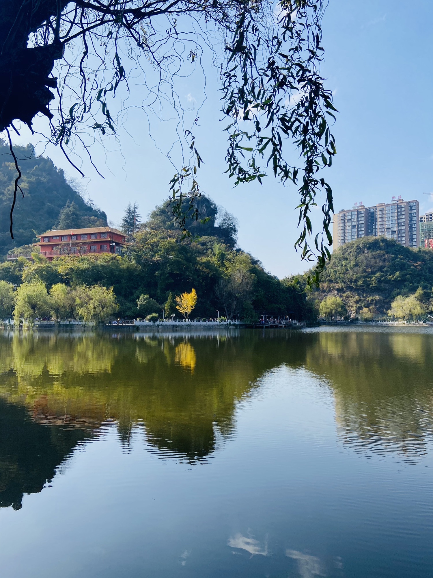 桃花公园旅行图片 1