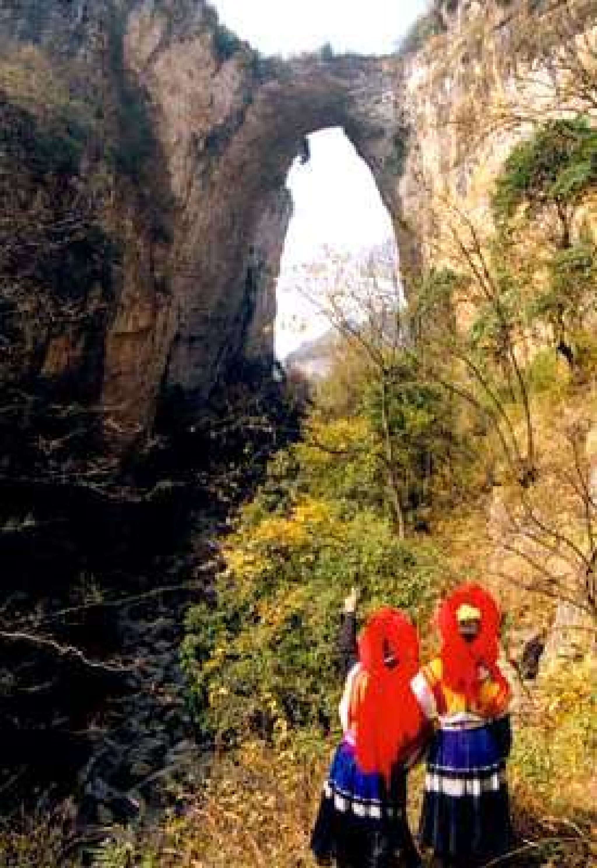 天生桥旅行图片 1