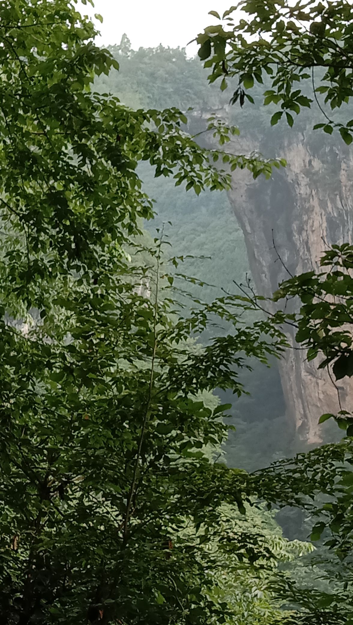 天生桥旅行图片 3