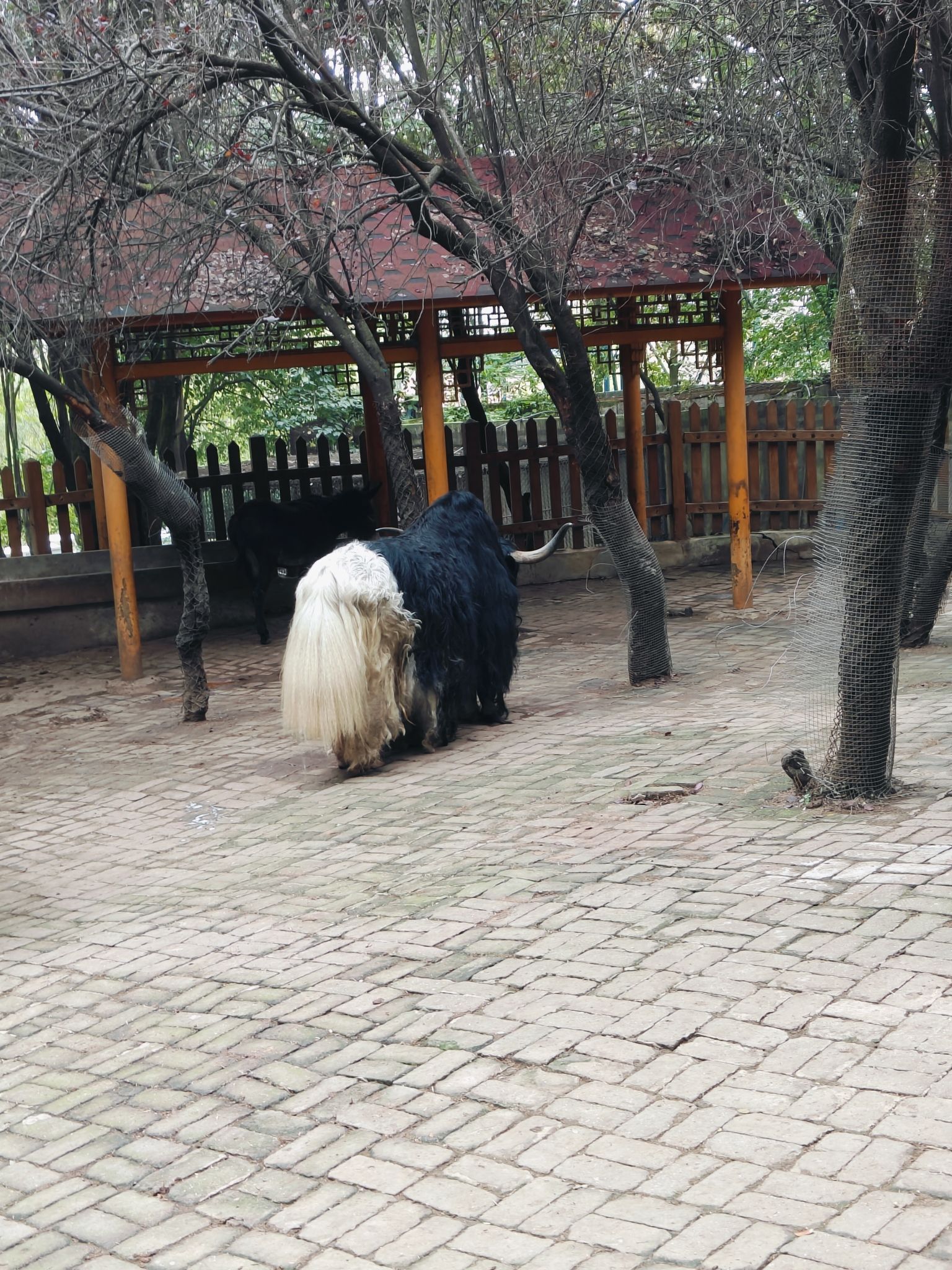 六盘水动物园旅行图片 3