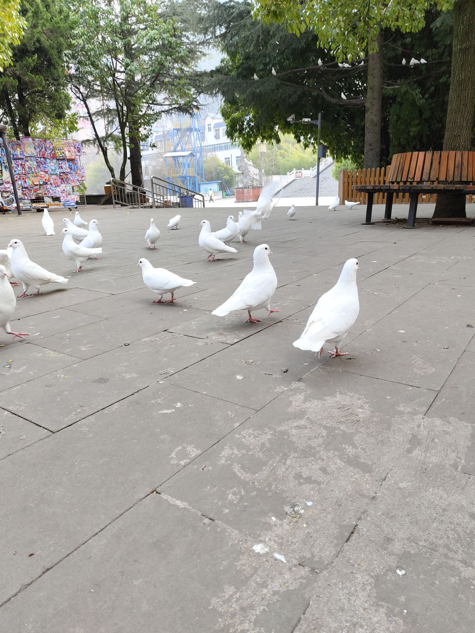 六盘水动物园旅行图片 1
