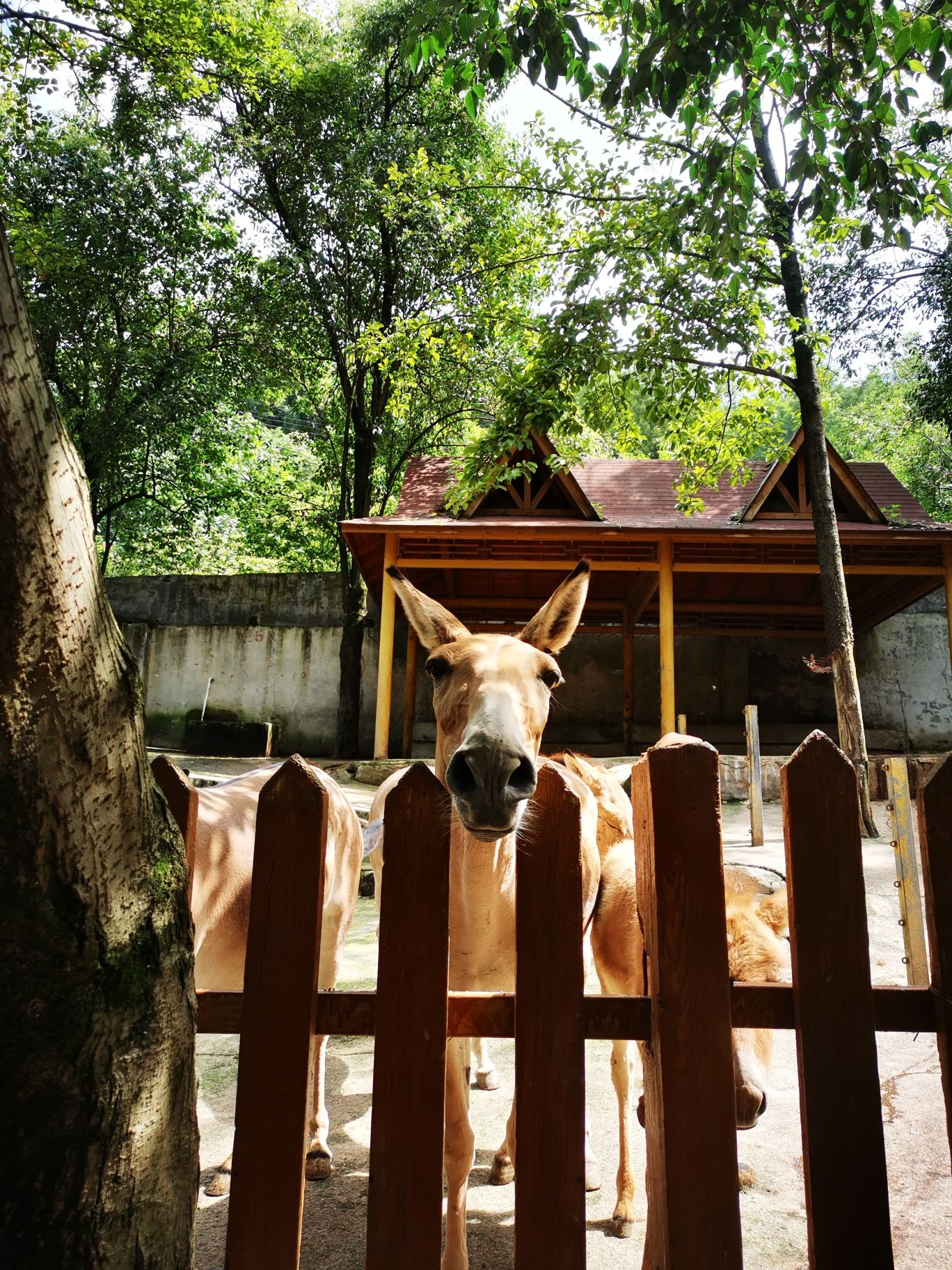 六盘水动物园旅行图片 3