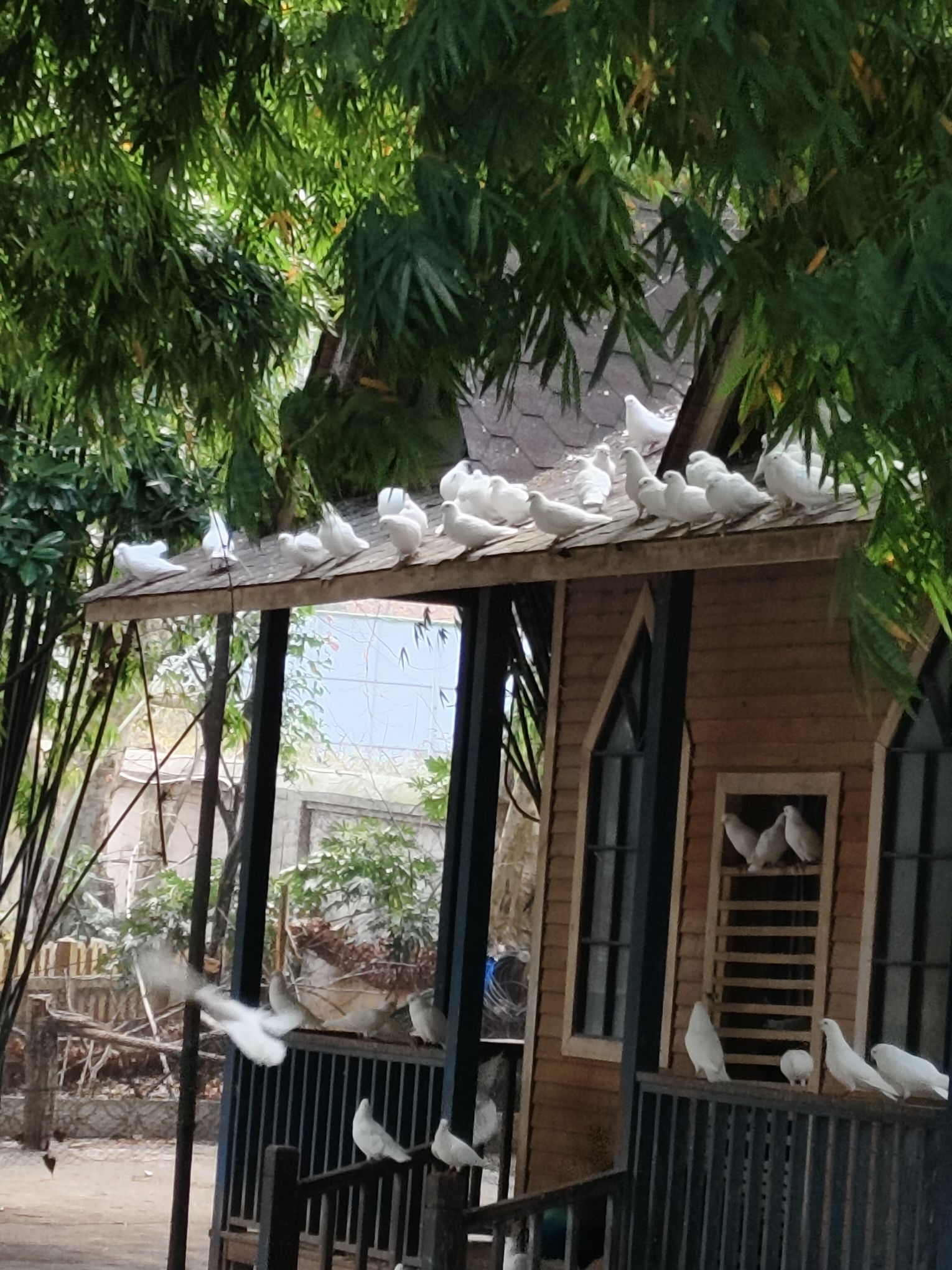 六盘水动物园旅行图片 2