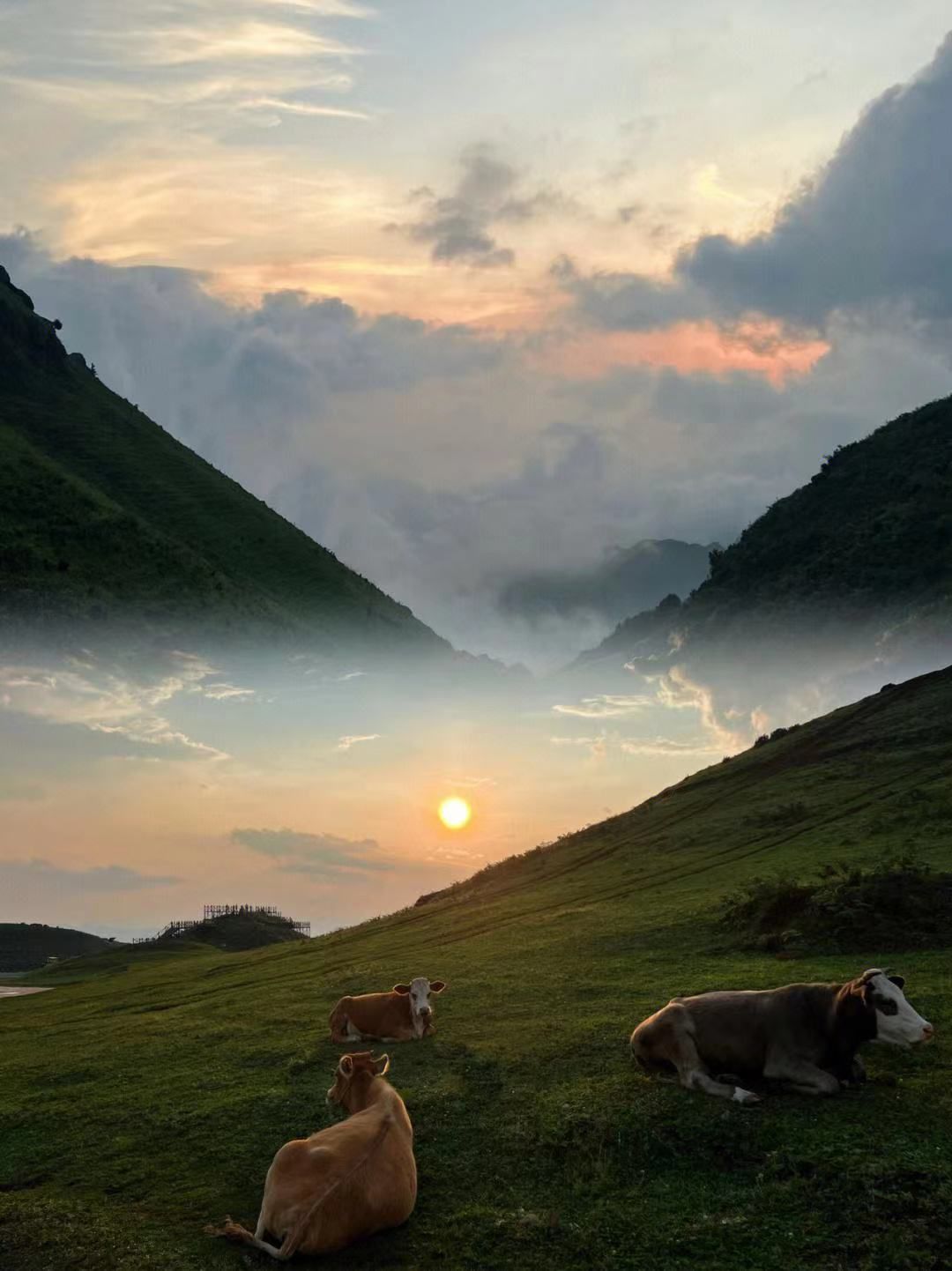 六盘水坡上草原风景名胜区旅行图片 2