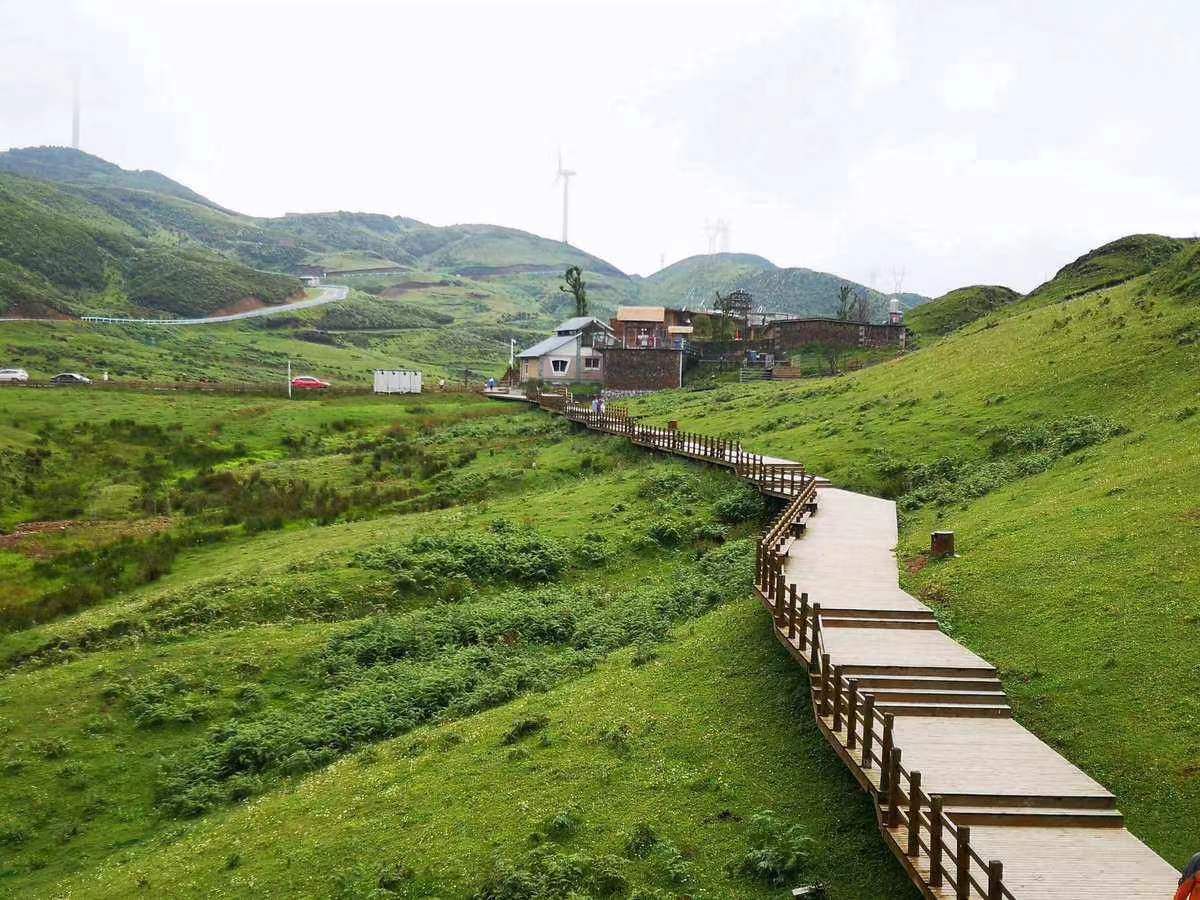 六盘水坡上草原风景名胜区旅行图片 1