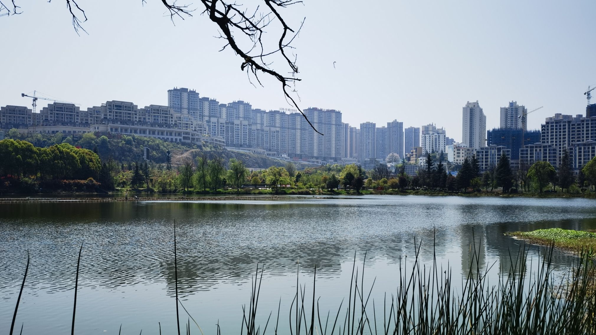 东湖公园