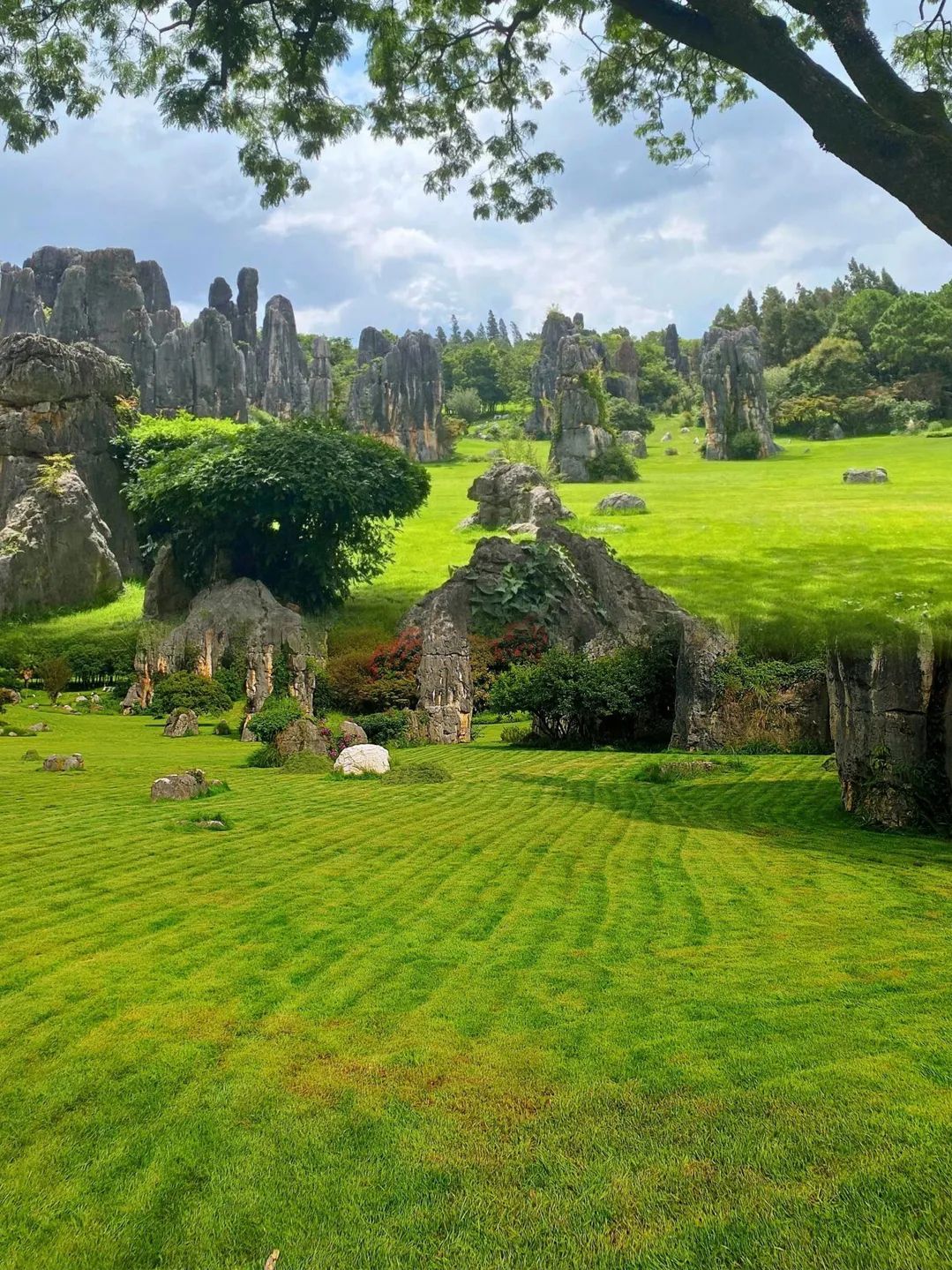 乃古石林风景区