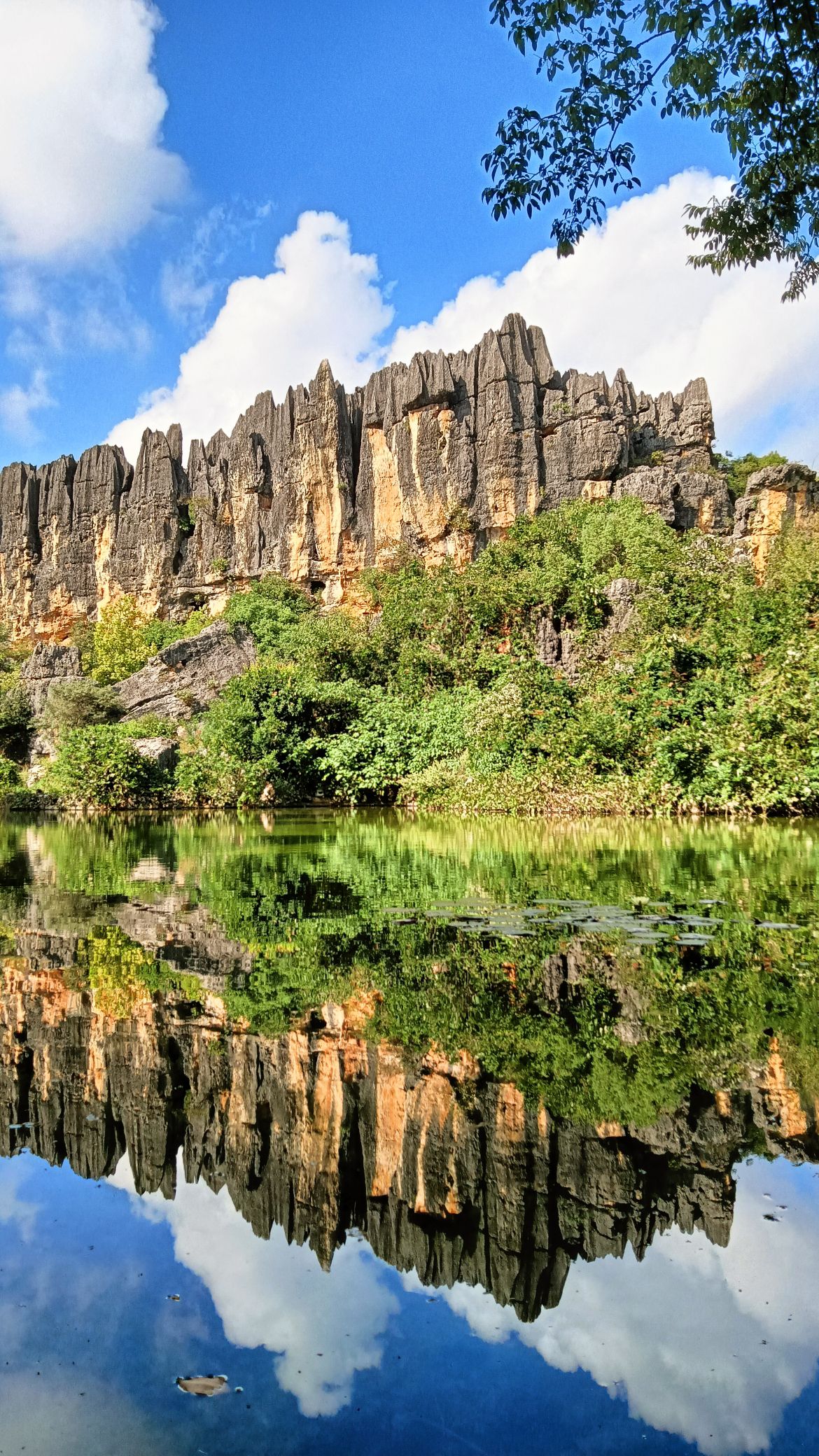 乃古石林风景区