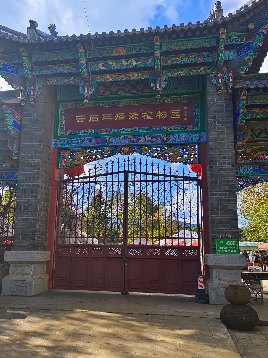 云南丰泽源植物园-黑龙潭寺实景照片