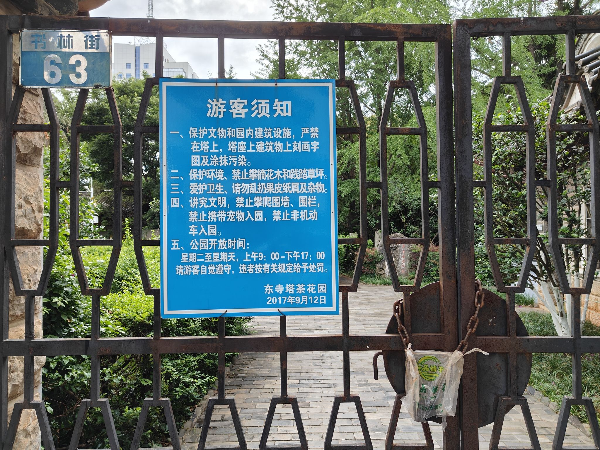 东寺塔茶花园实景照片