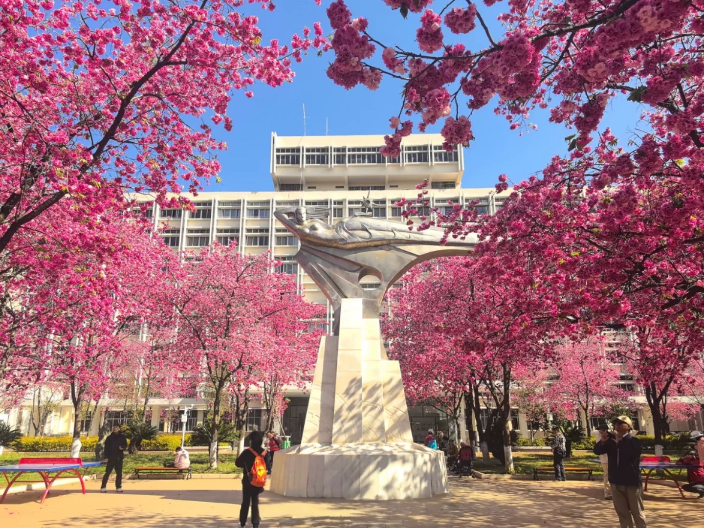 昆明理工大学莲华校区