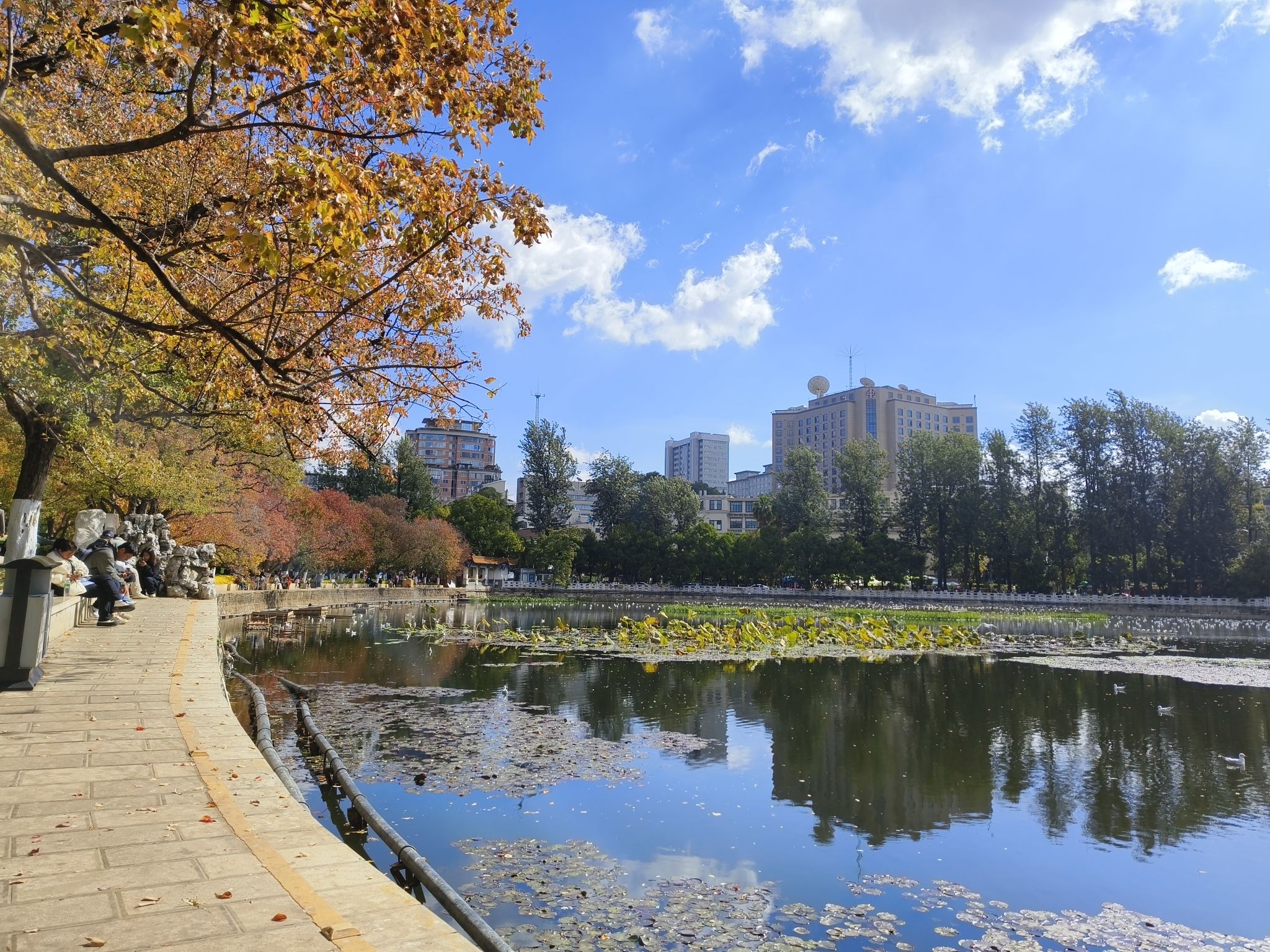 昆明翠湖公园-唐堤
