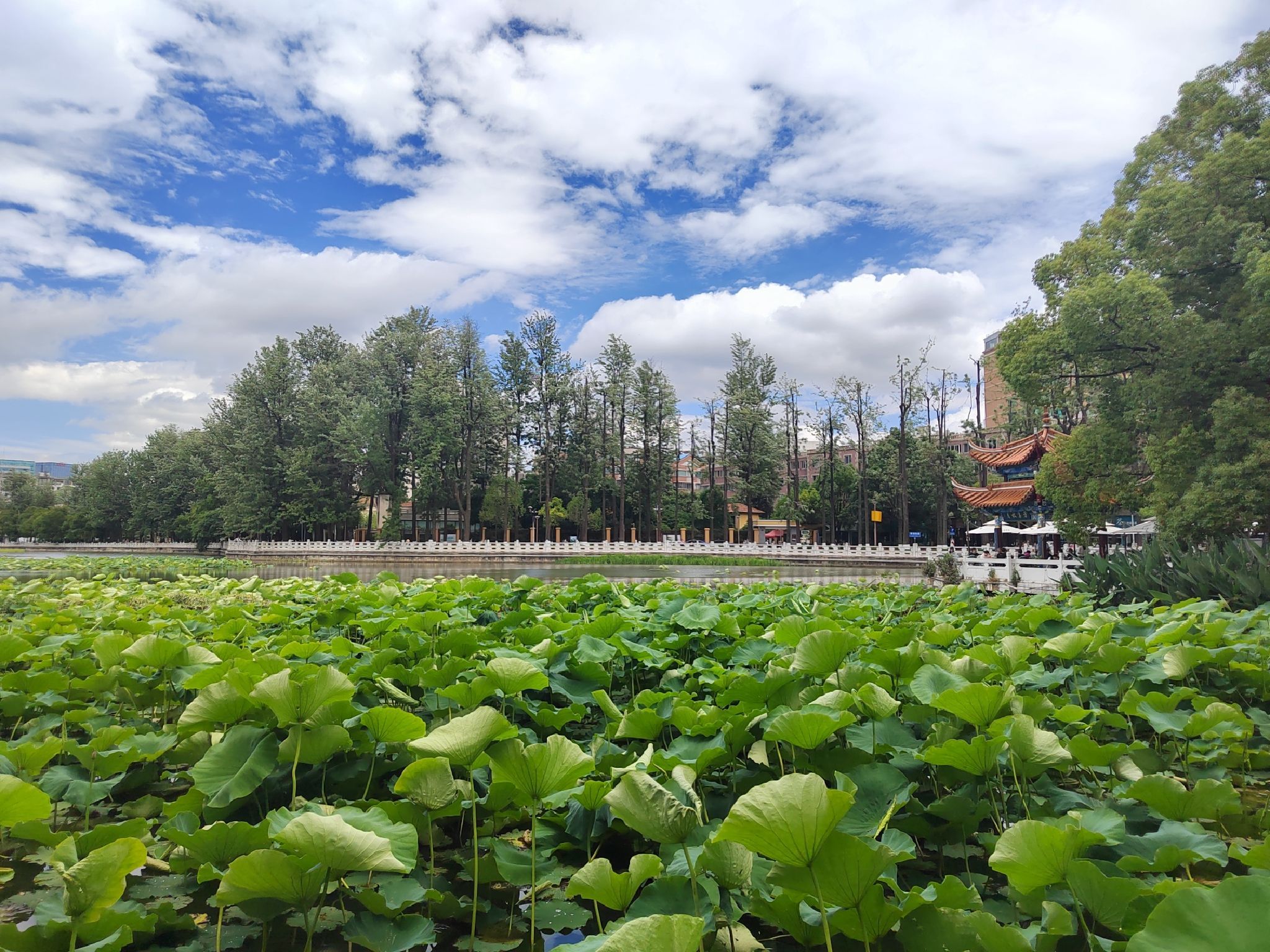 昆明翠湖公园-唐堤