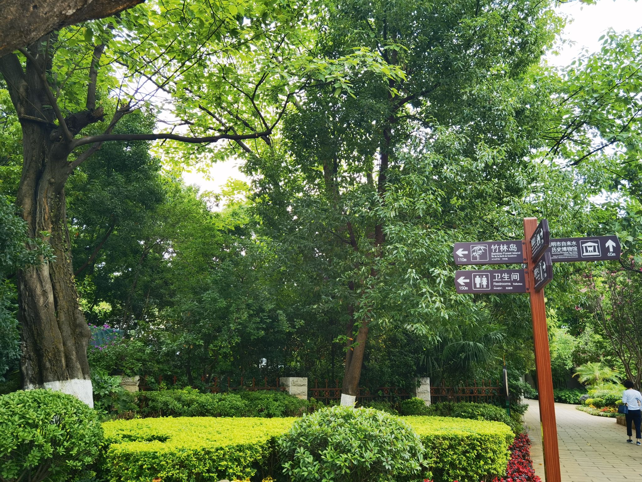 昆明翠湖公园-竹林岛