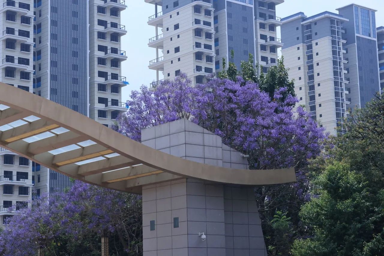红河学院(东区)