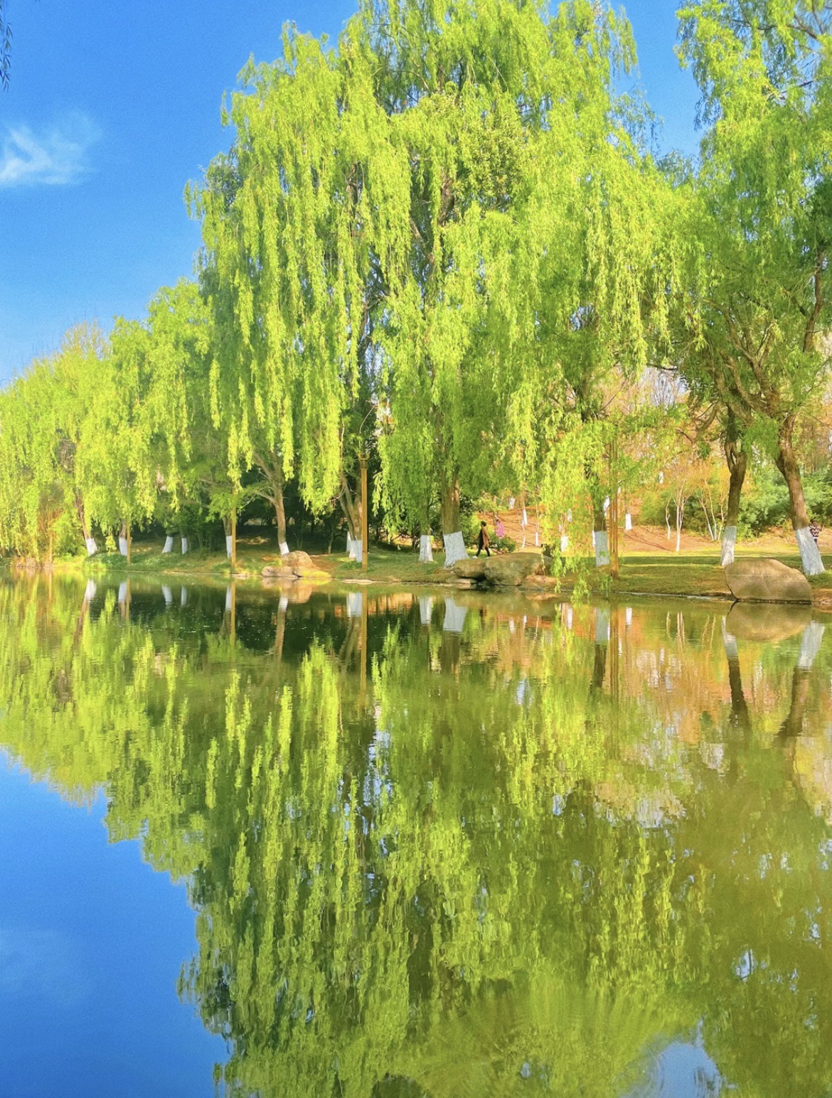 会泽公园