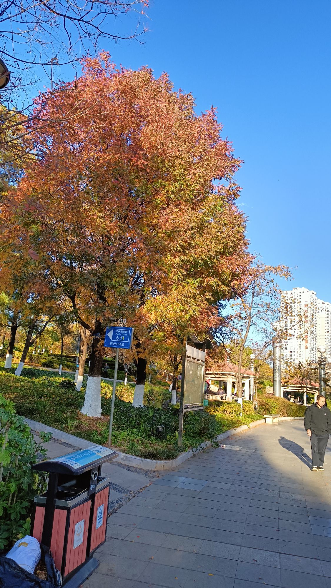 大花桥公园