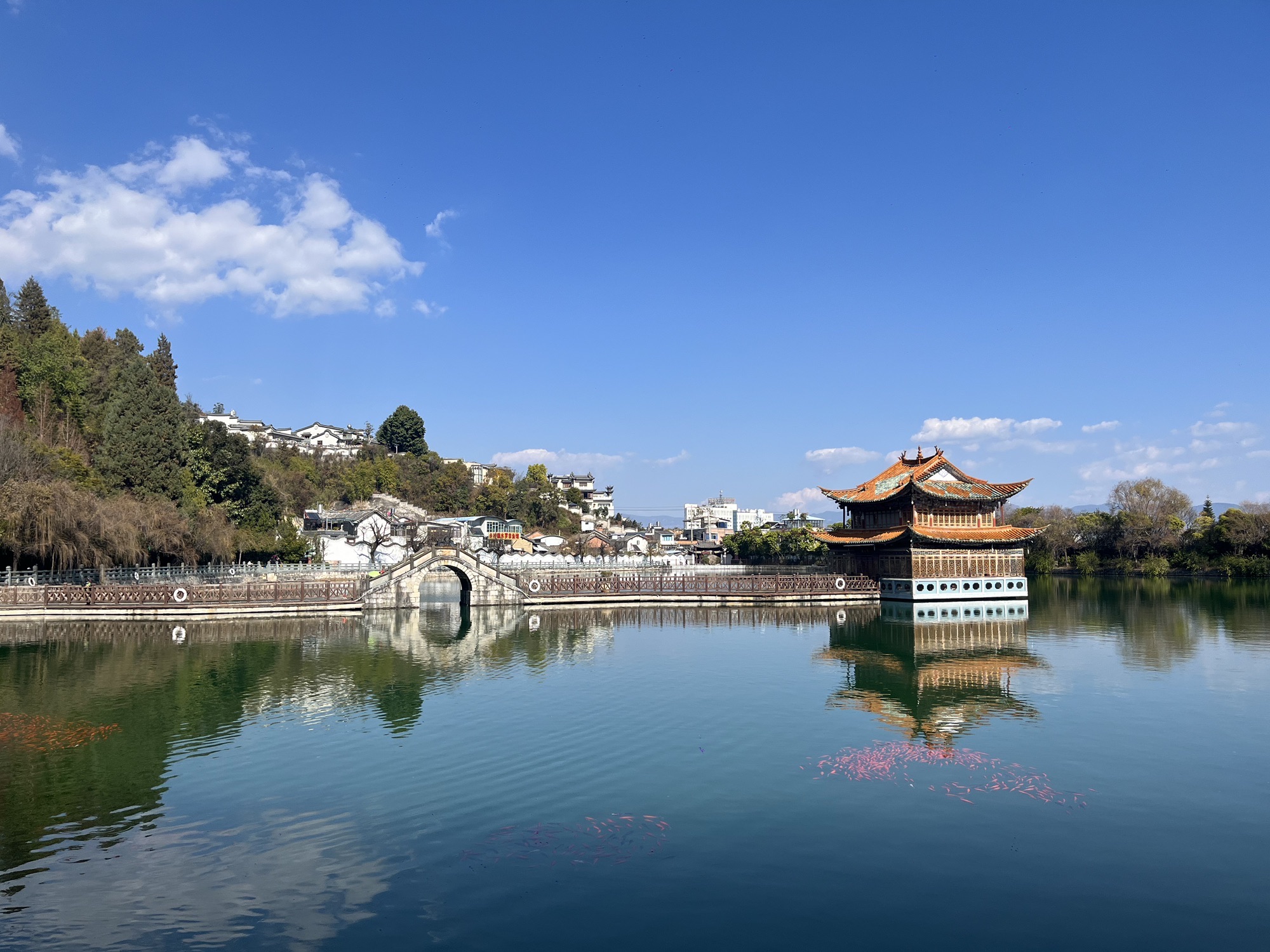太保山森林公园-易罗池