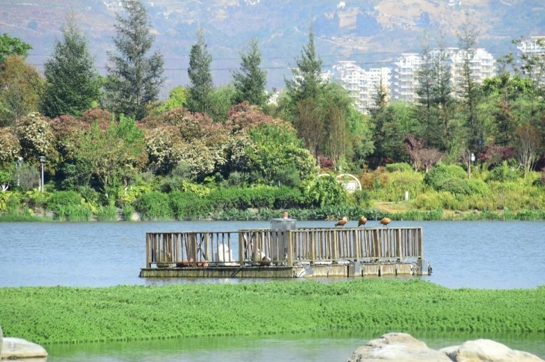 太保山森林公园