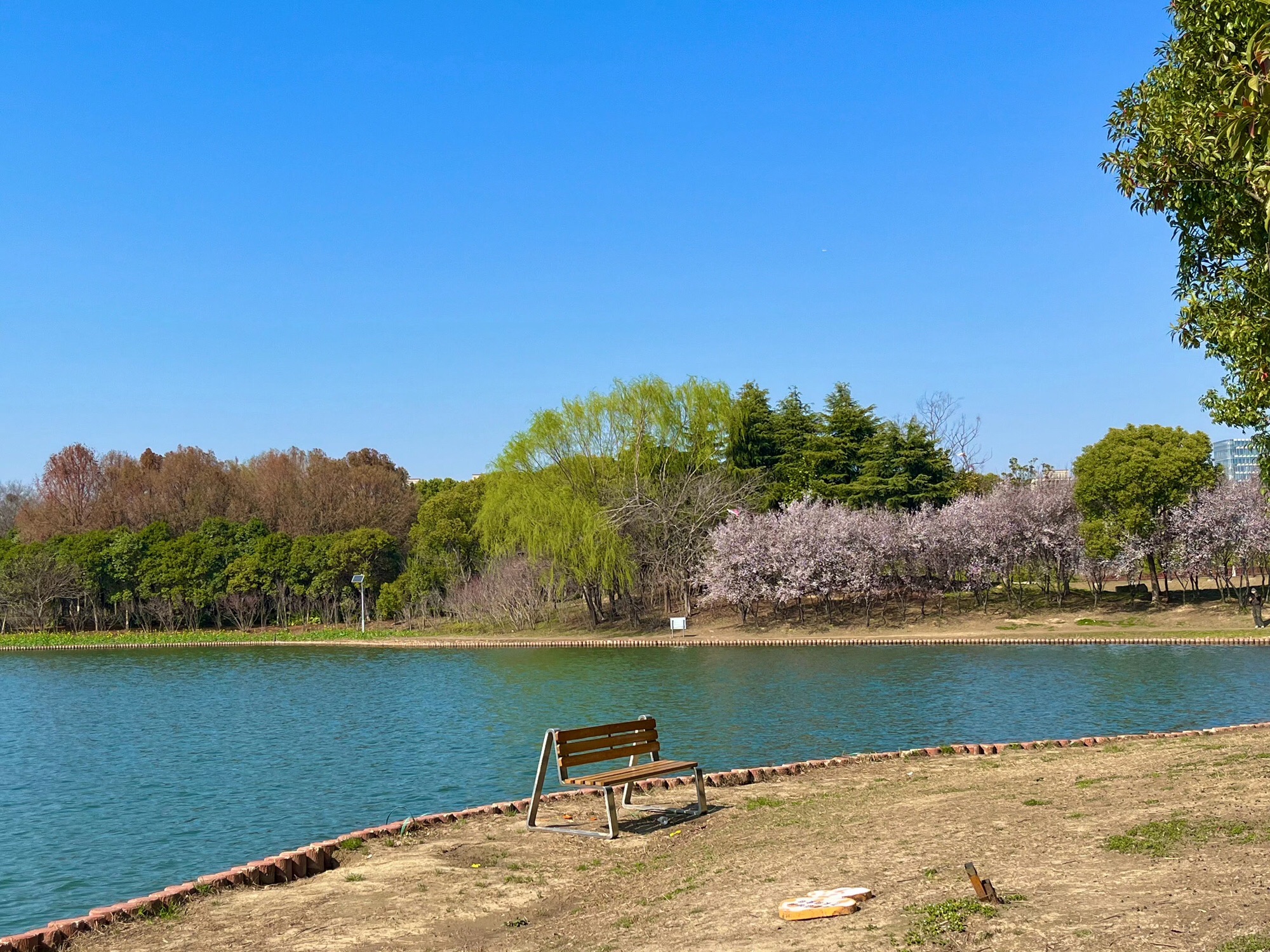琵琶岛公园