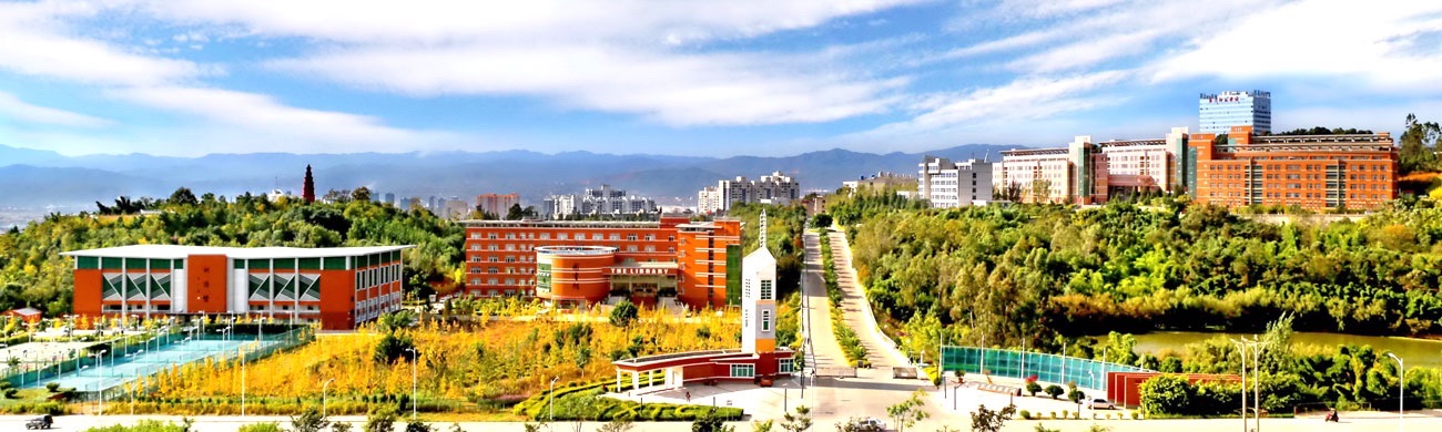 玉溪师范学院