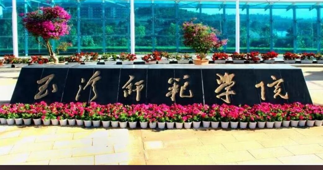 玉溪师范学院