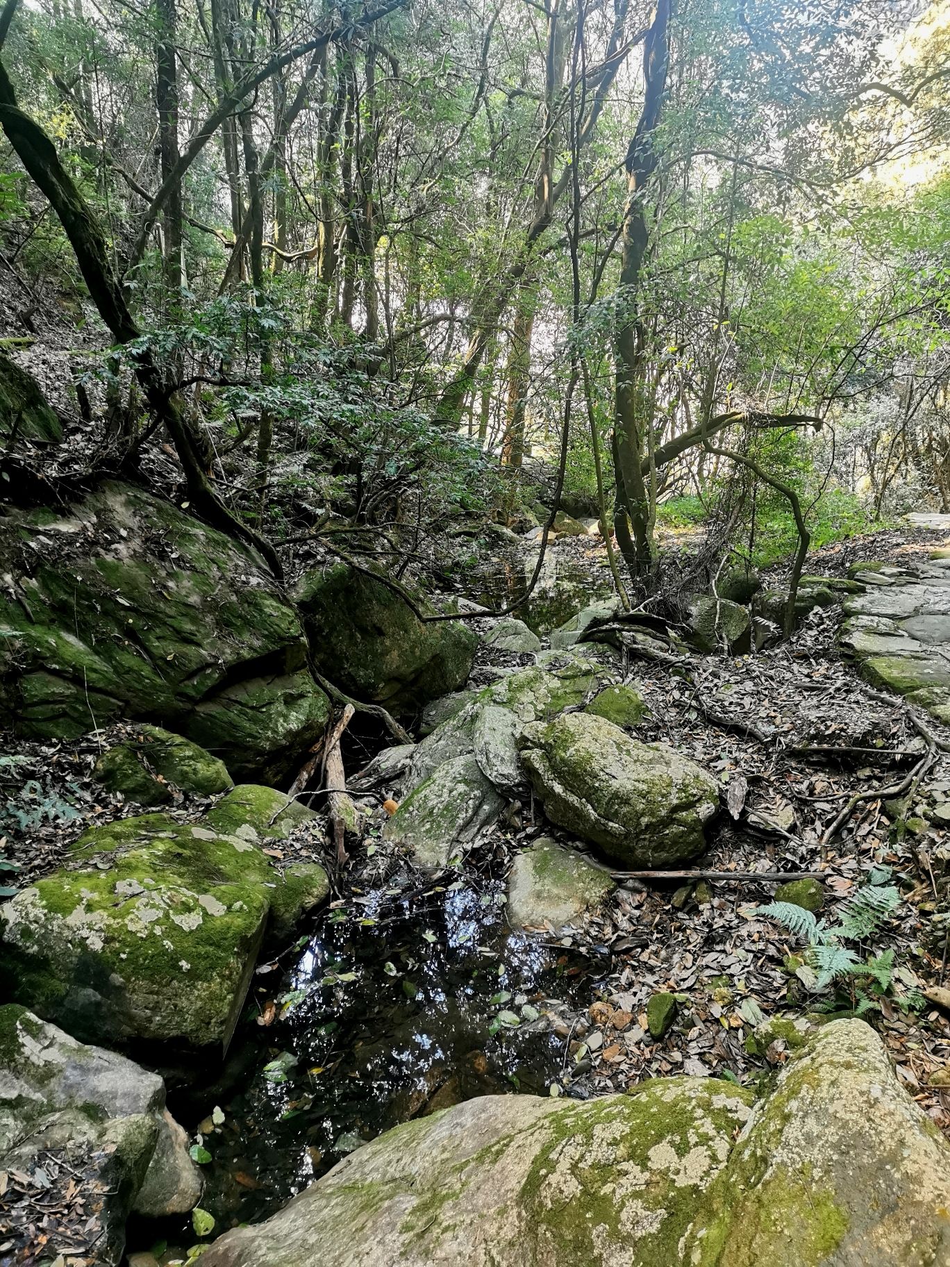 茶马古道