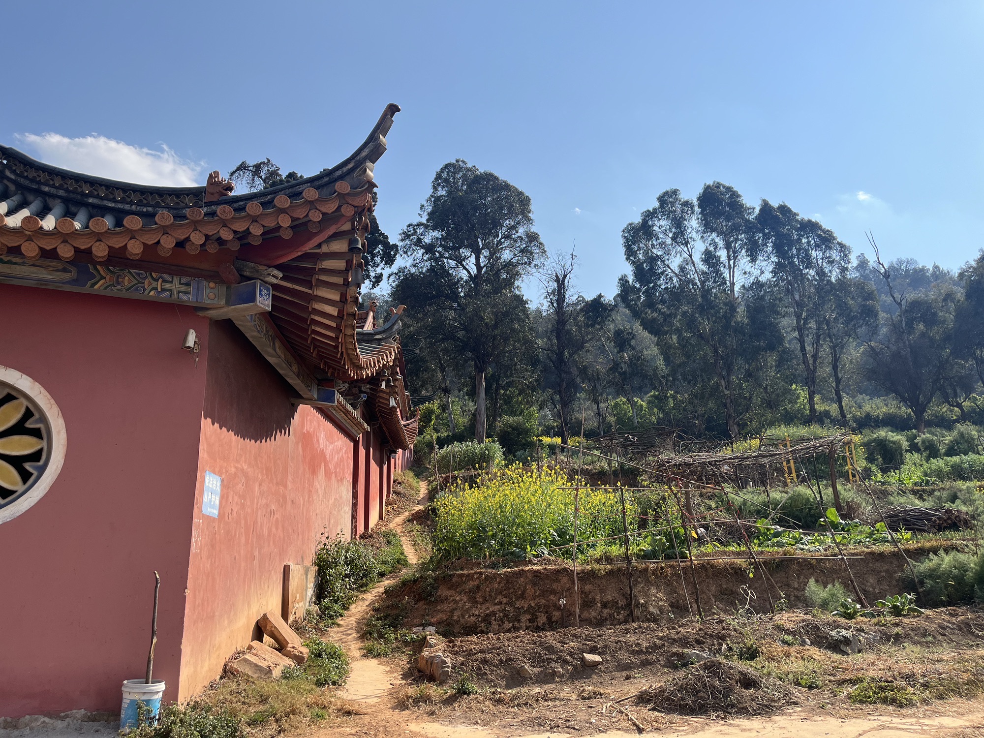 高仓弥陀寺实景照片