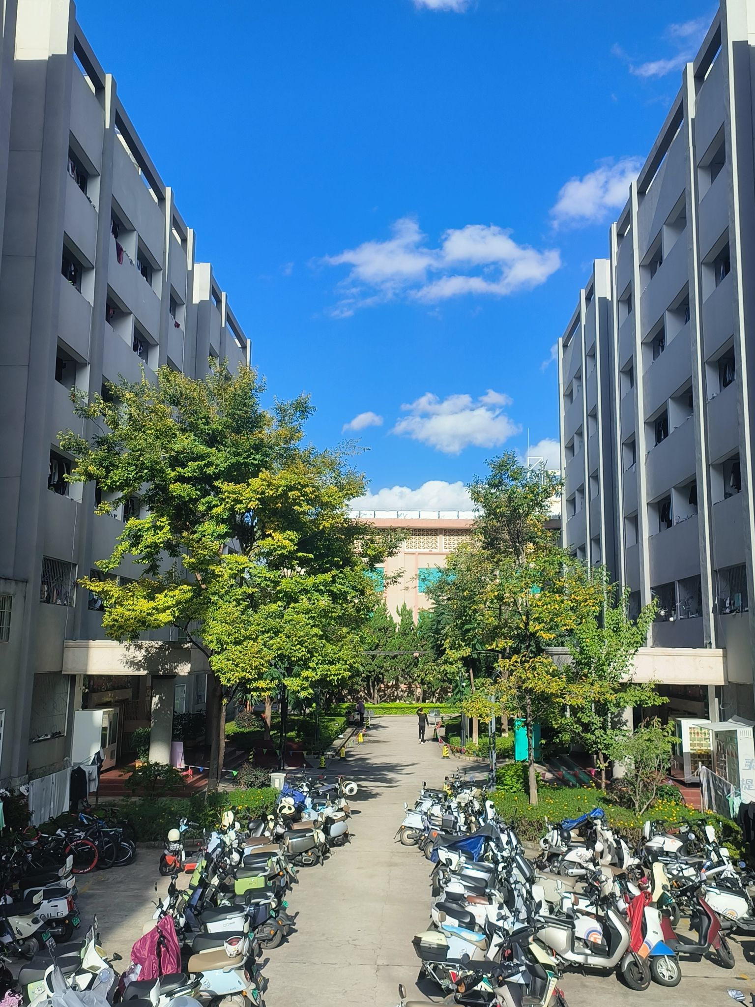 楚雄师范学院