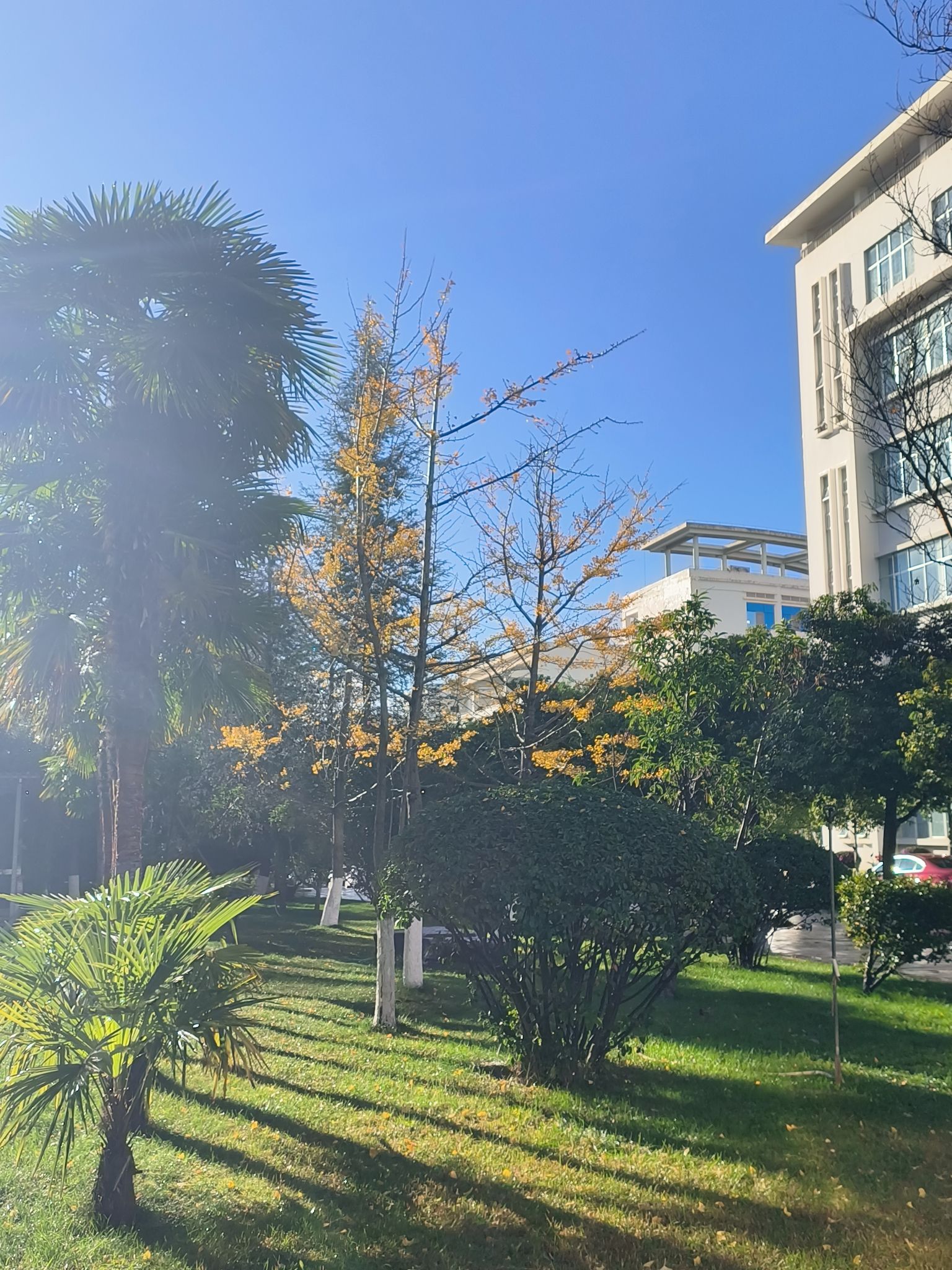楚雄师范学院