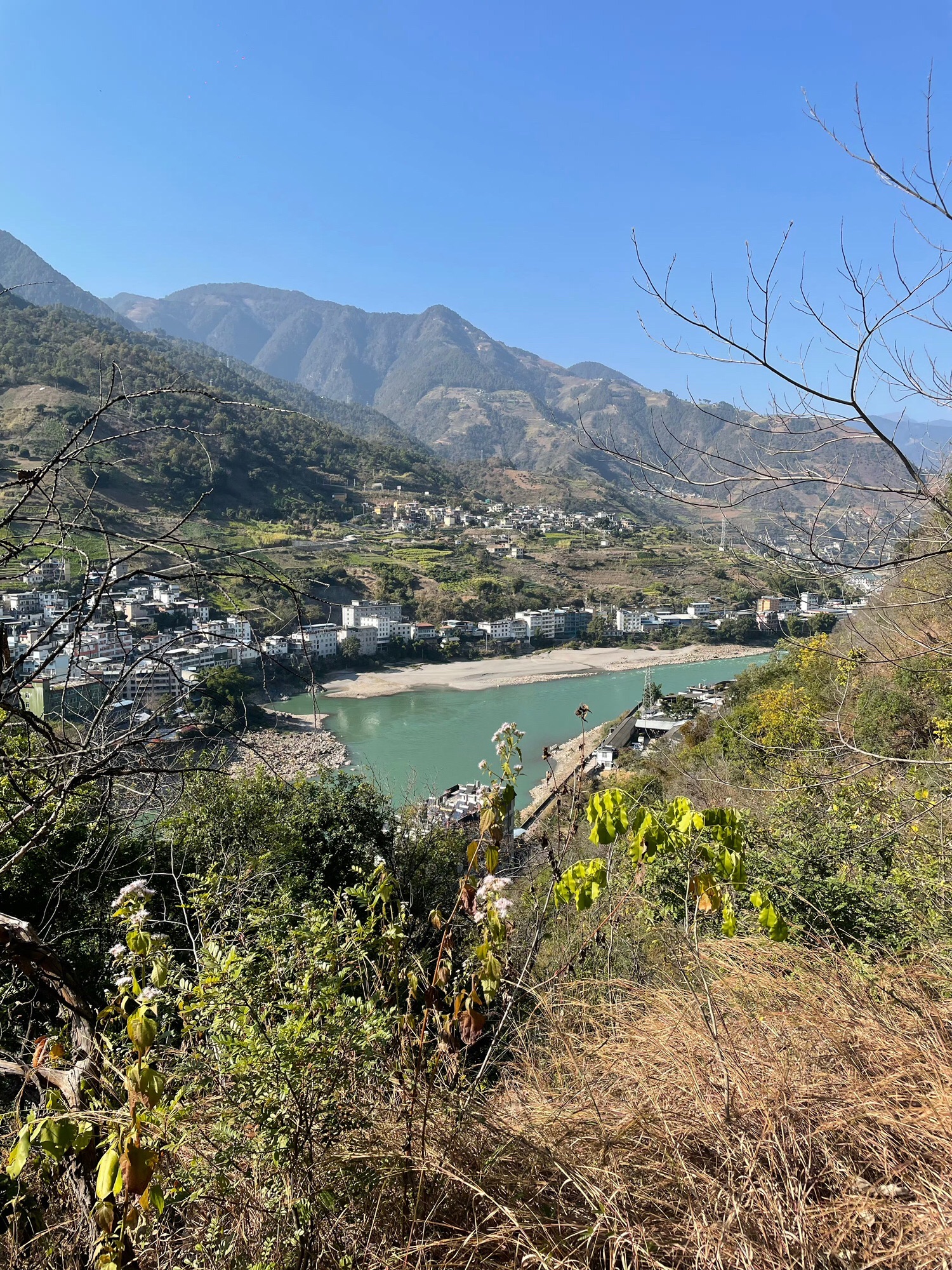 青山公园
