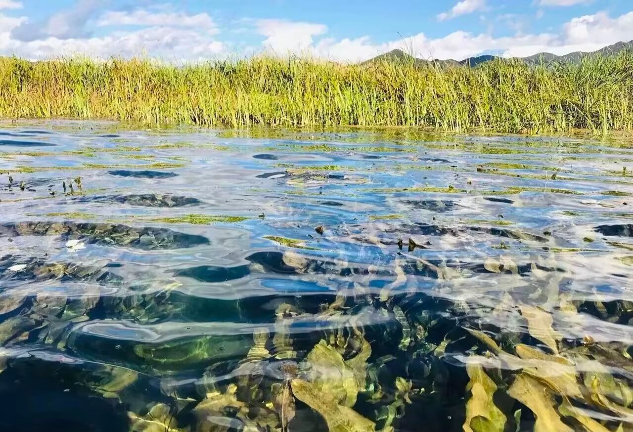 泸沽湖国家级风景名胜区旅行图片 2