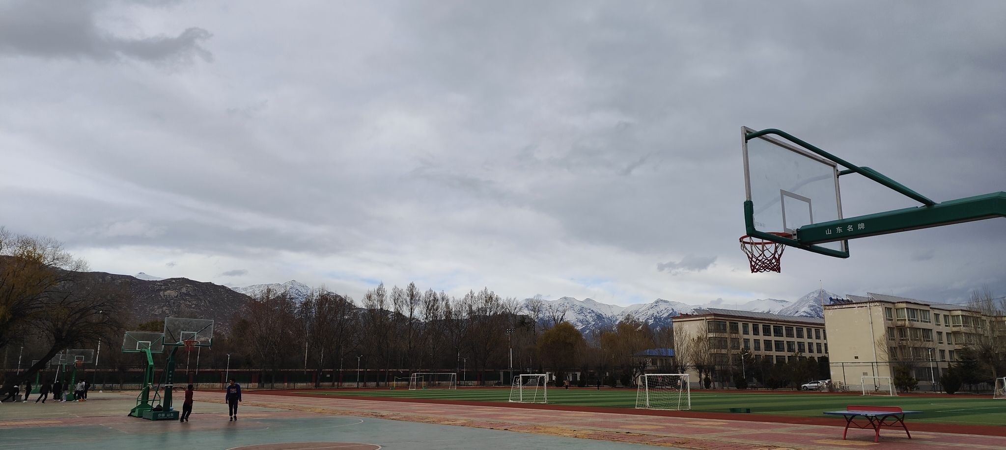 西藏大学财经学院