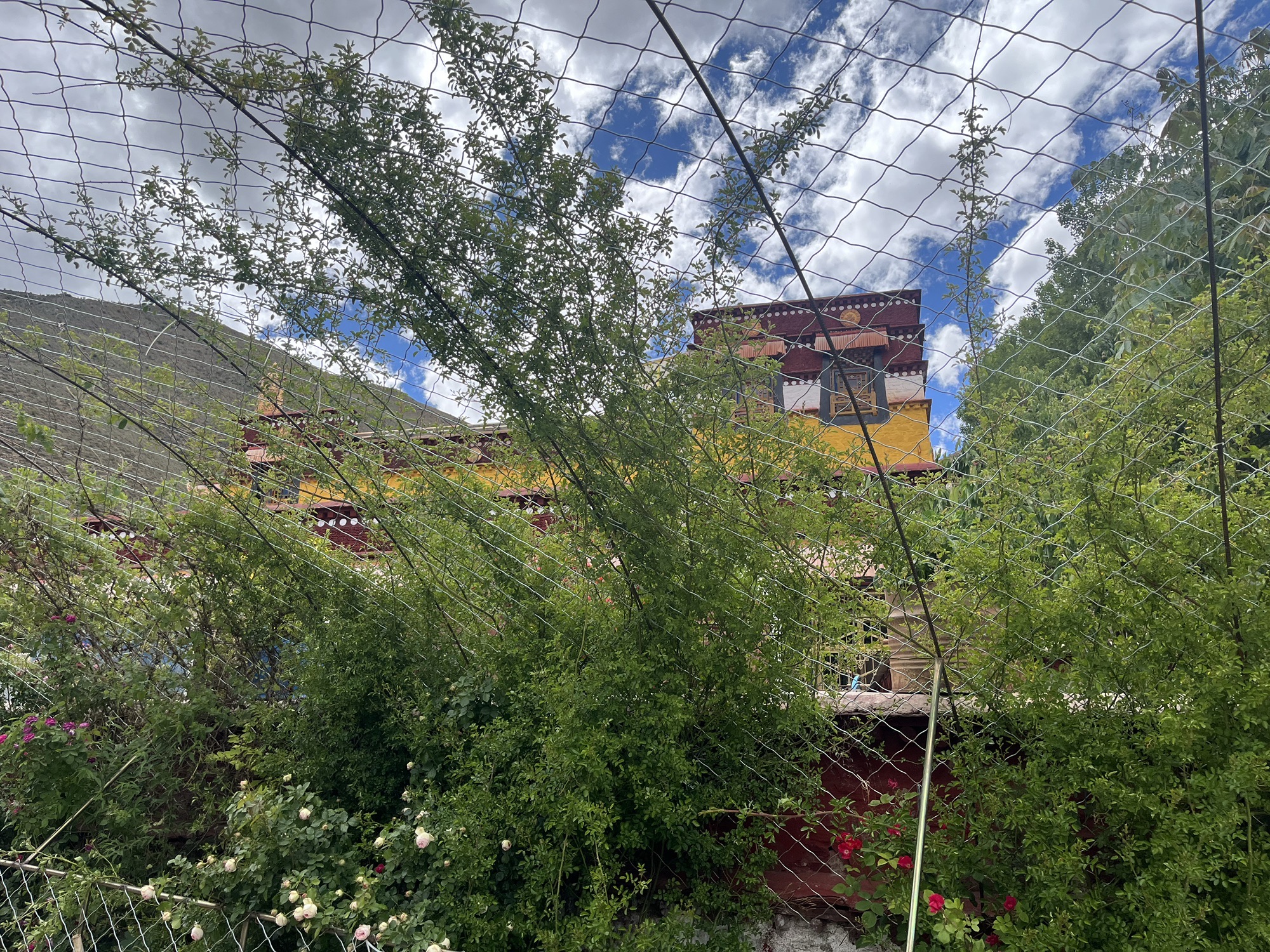 伟色林寺实景照片