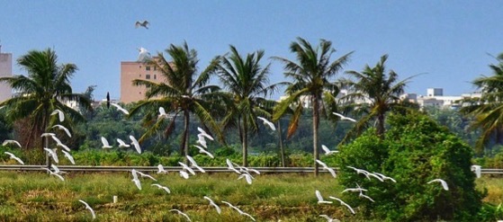 三江湾旅游风景区