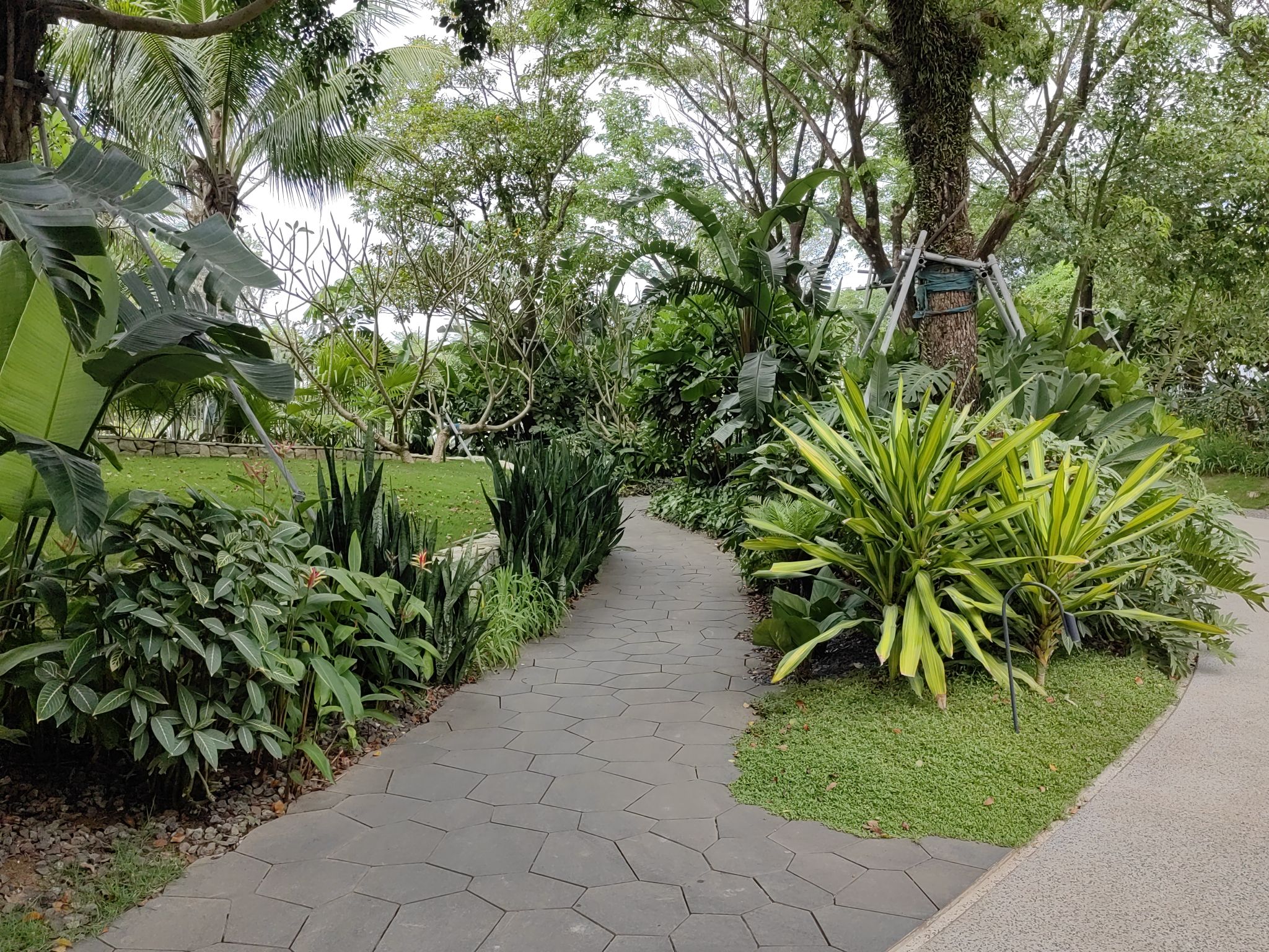 桂林洋海滨旅游区旅行图片 3