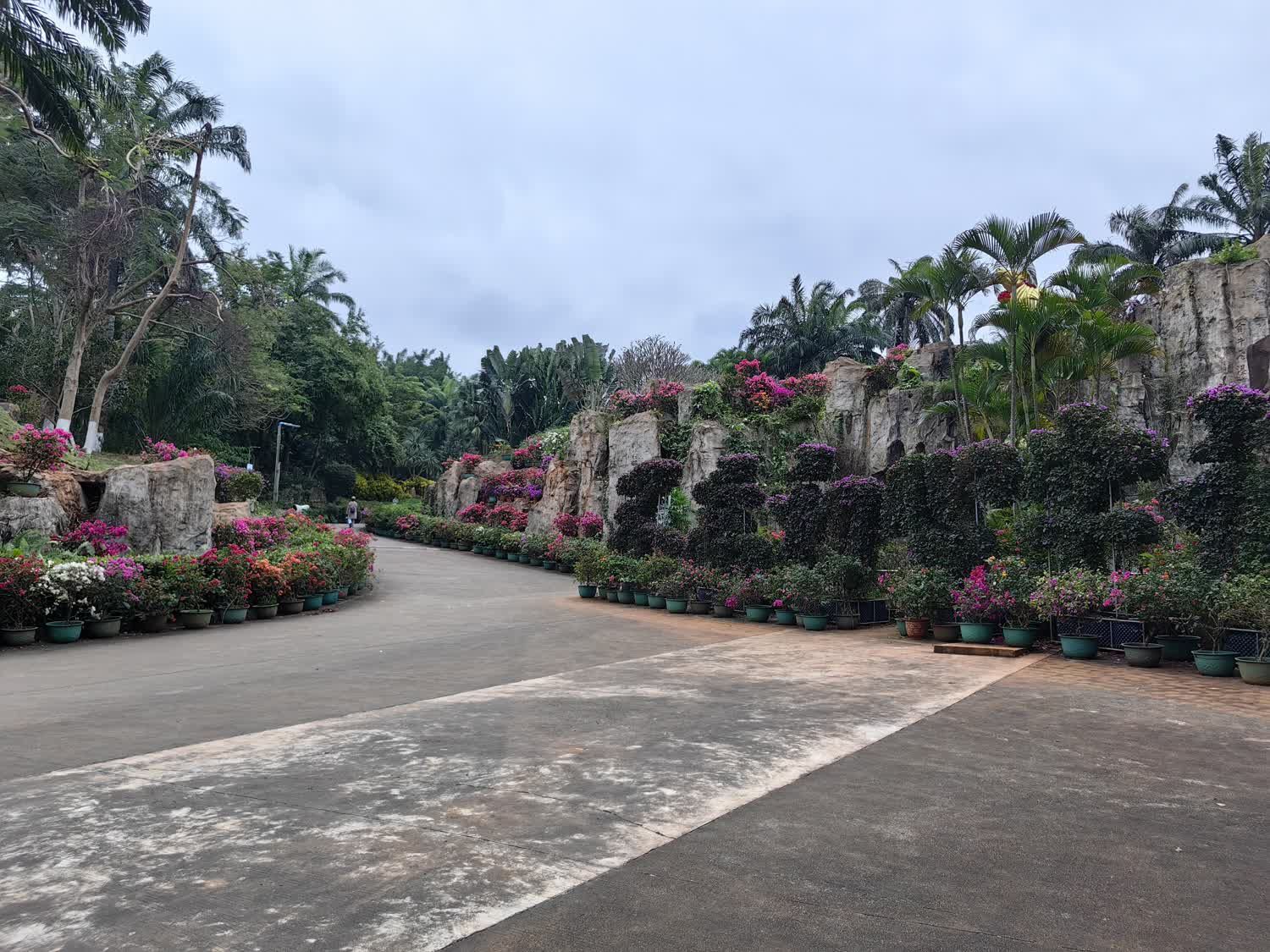 金牛岭公园旅行图片 1