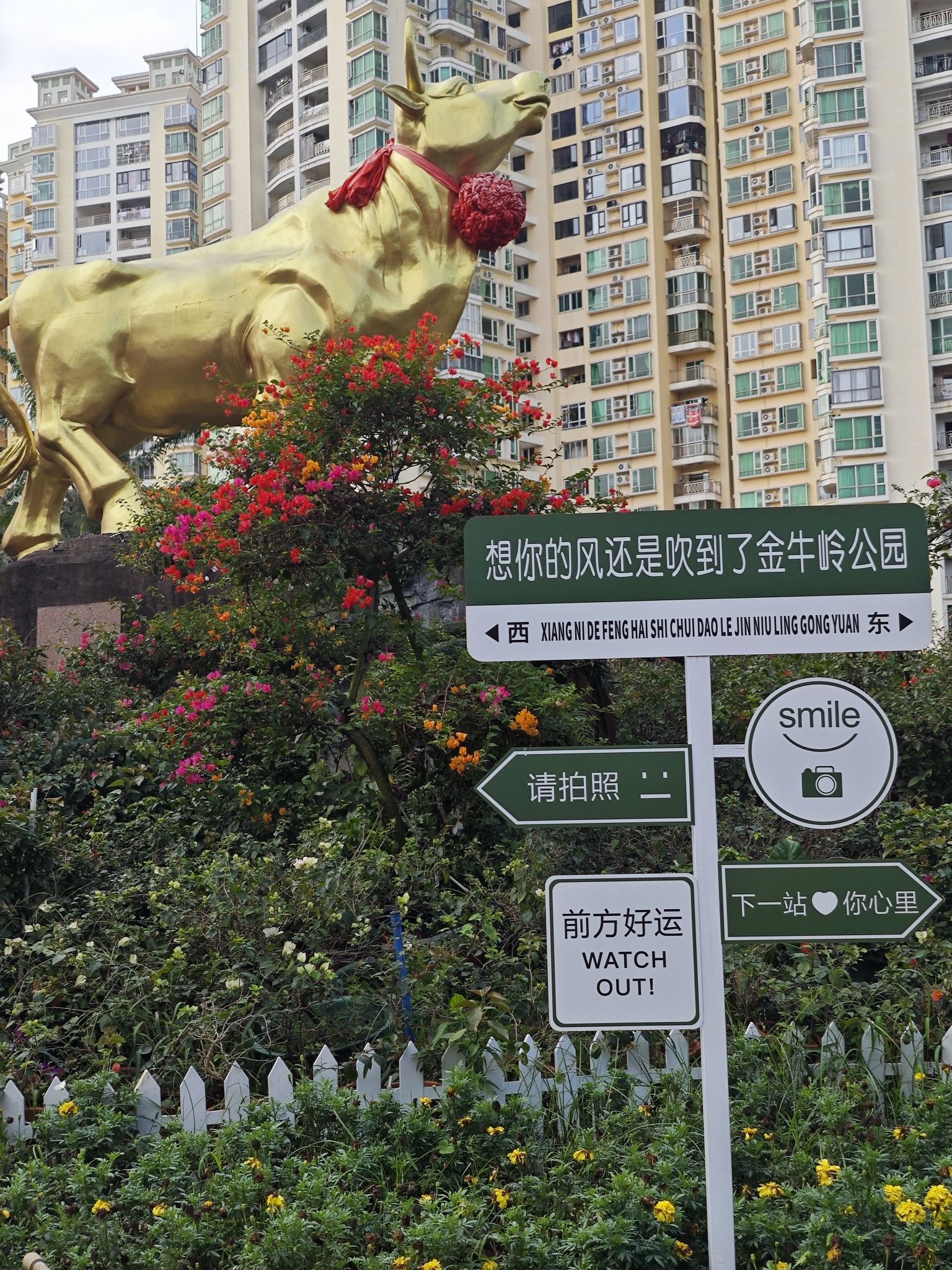 金牛岭公园旅行图片 1