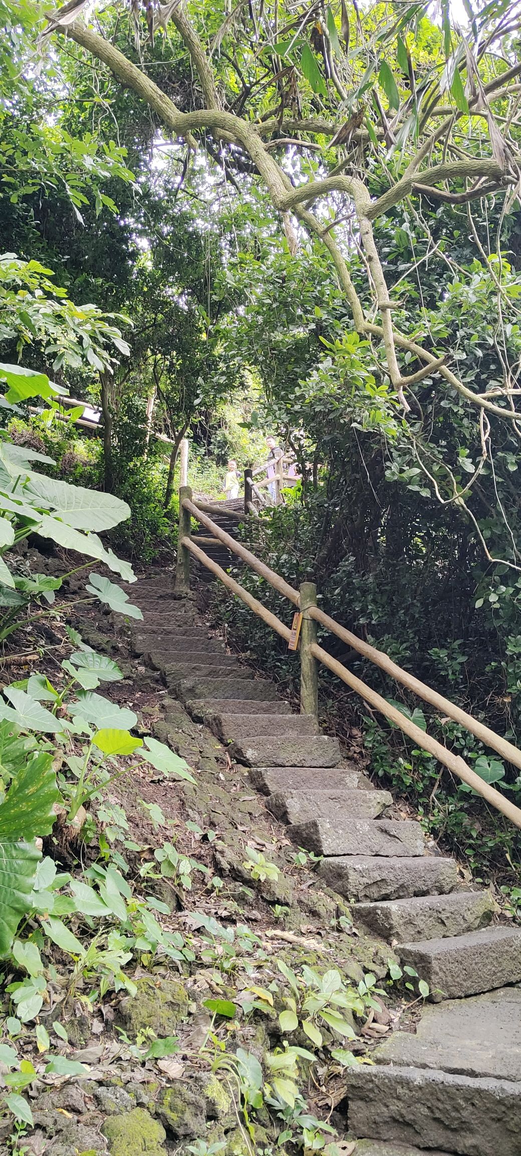 雷琼世界地质公园(海口园区)旅行图片 3