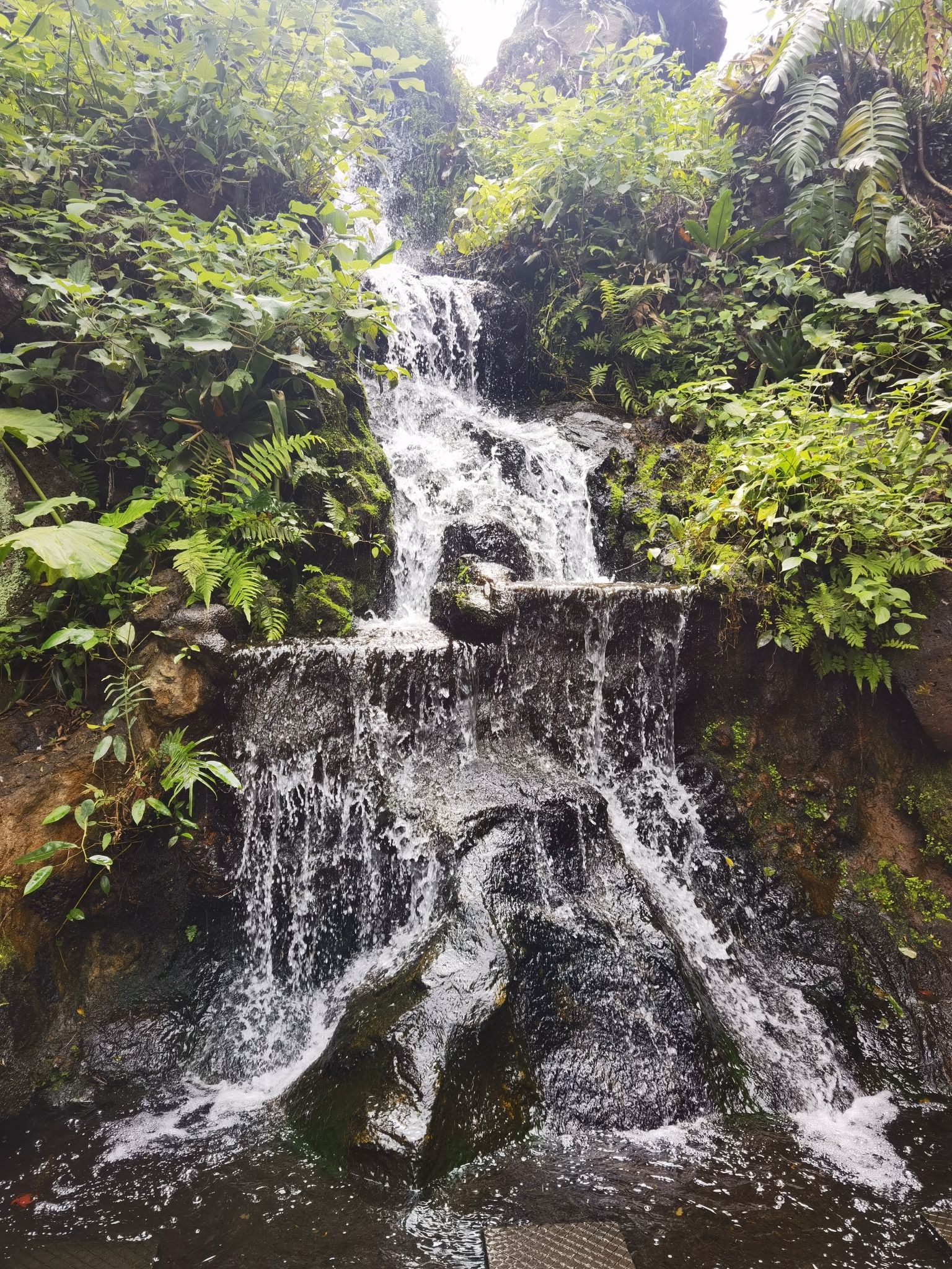 雷琼世界地质公园(海口园区)旅行图片 1
