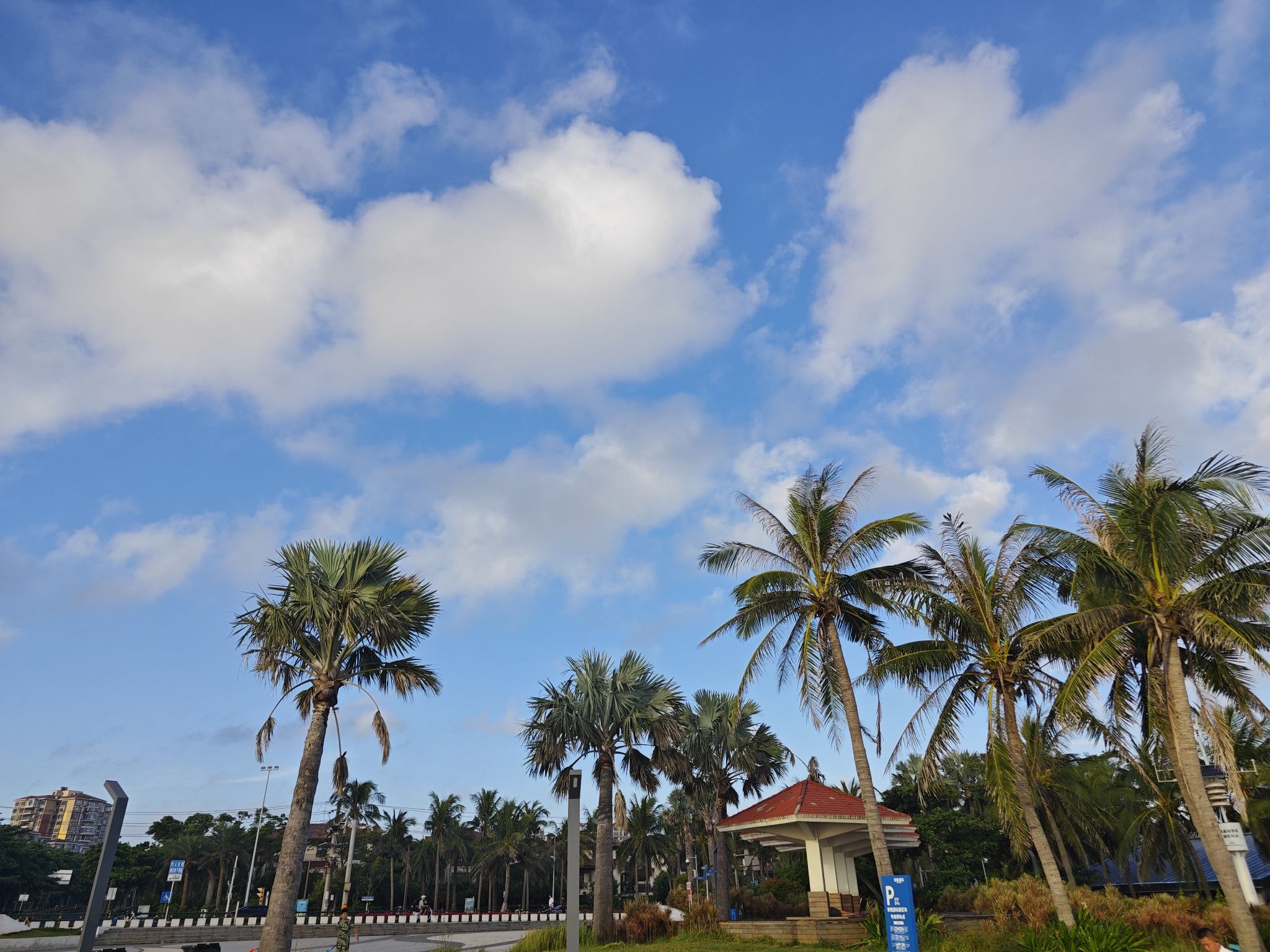 海口观海台旅行图片 1