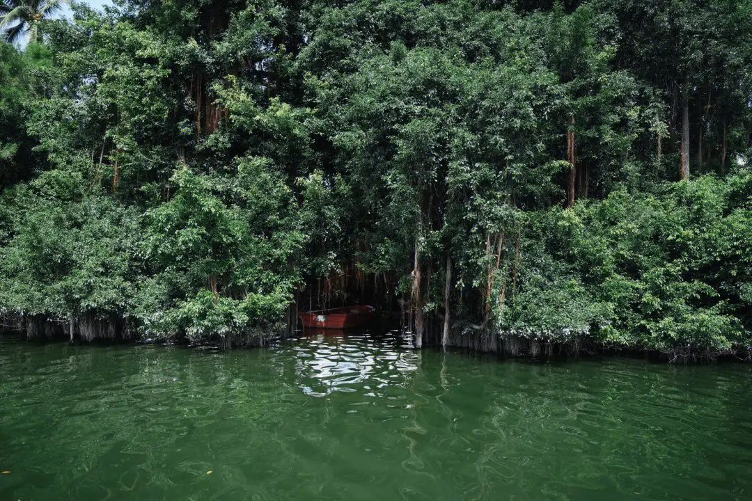 海口人民公园旅行图片 2